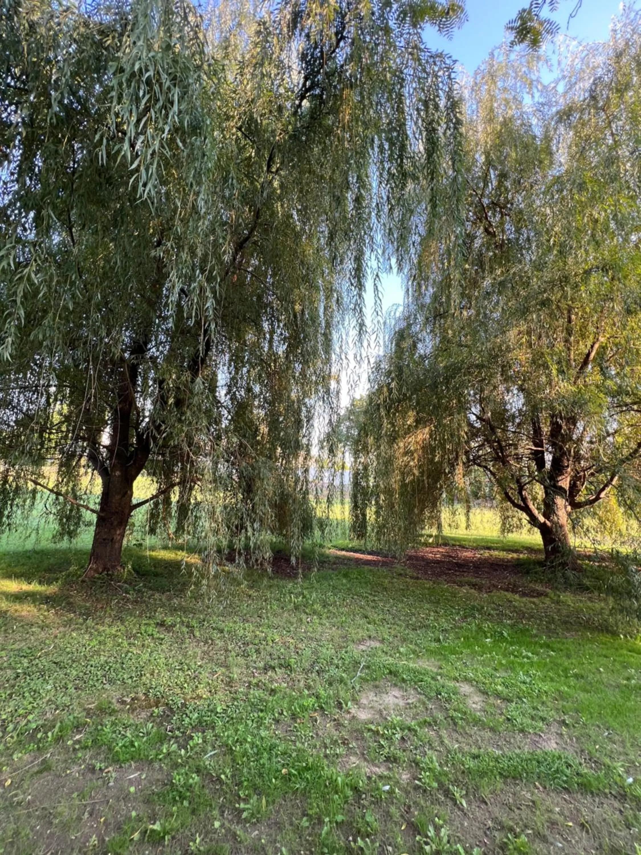 The Connecticut River Valley Inn Hartford South/Glastonbury