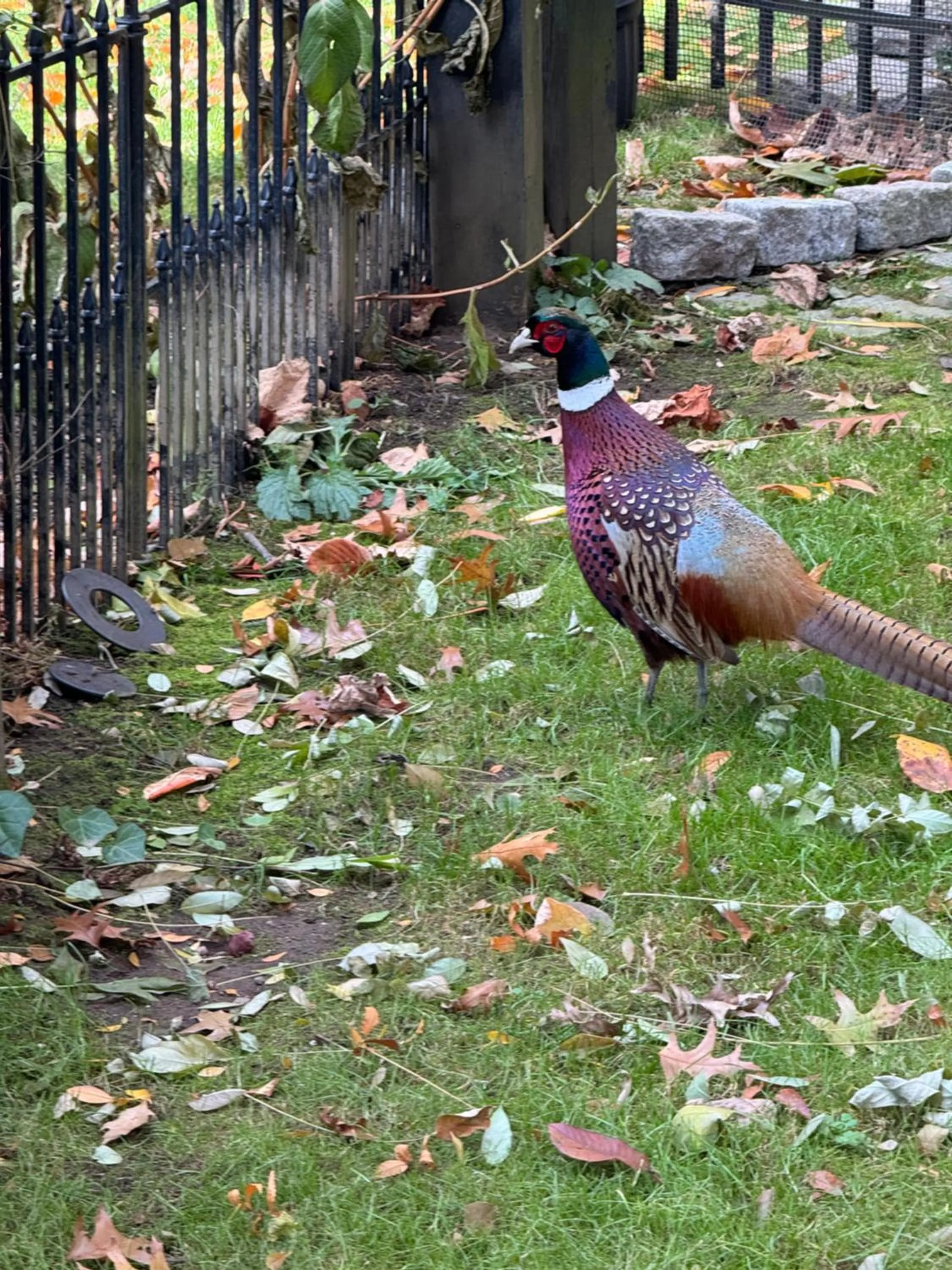 The Connecticut River Valley Inn Hartford South/Glastonbury