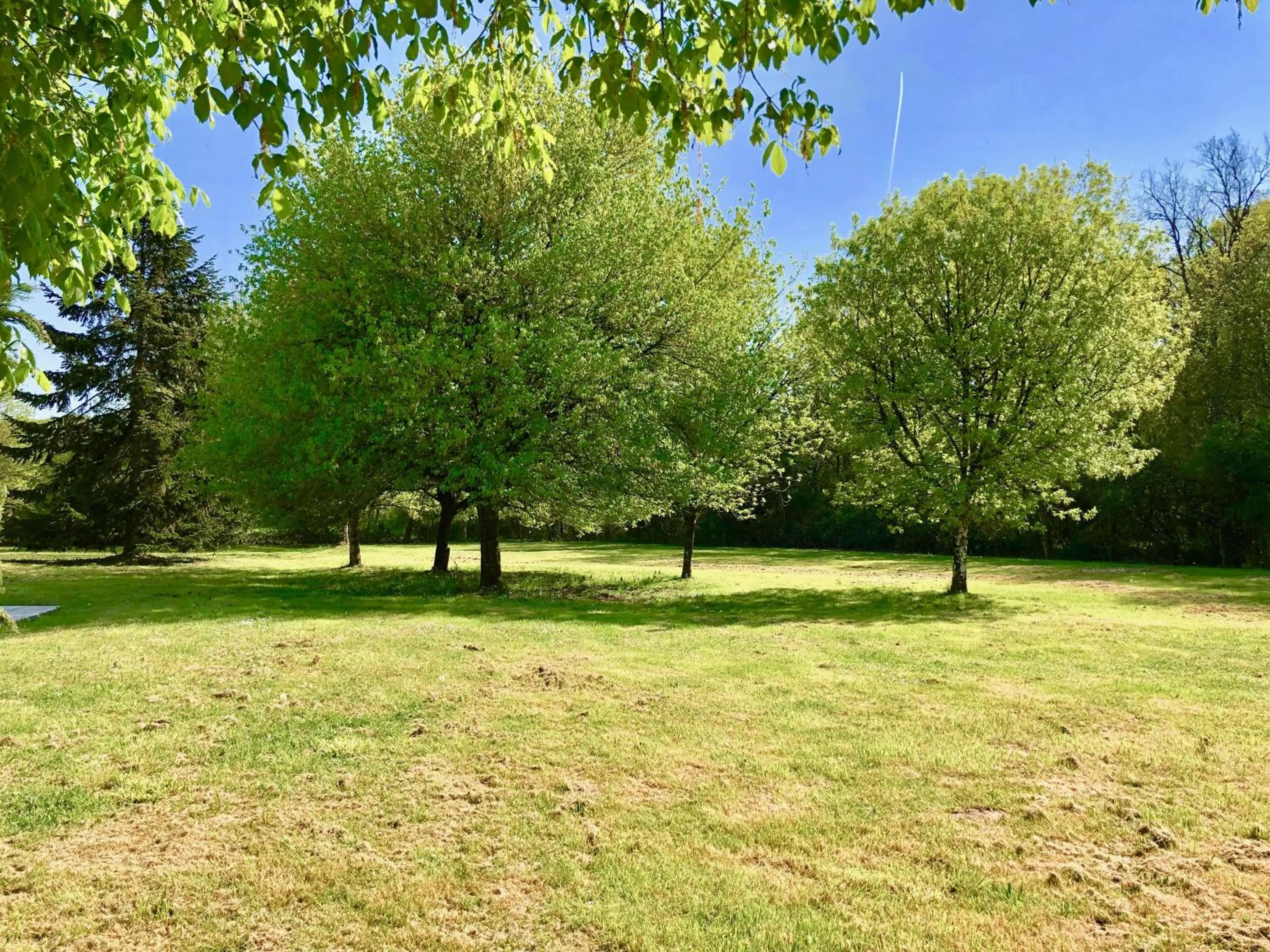 Property building in Domaine de l'Augeonnière
