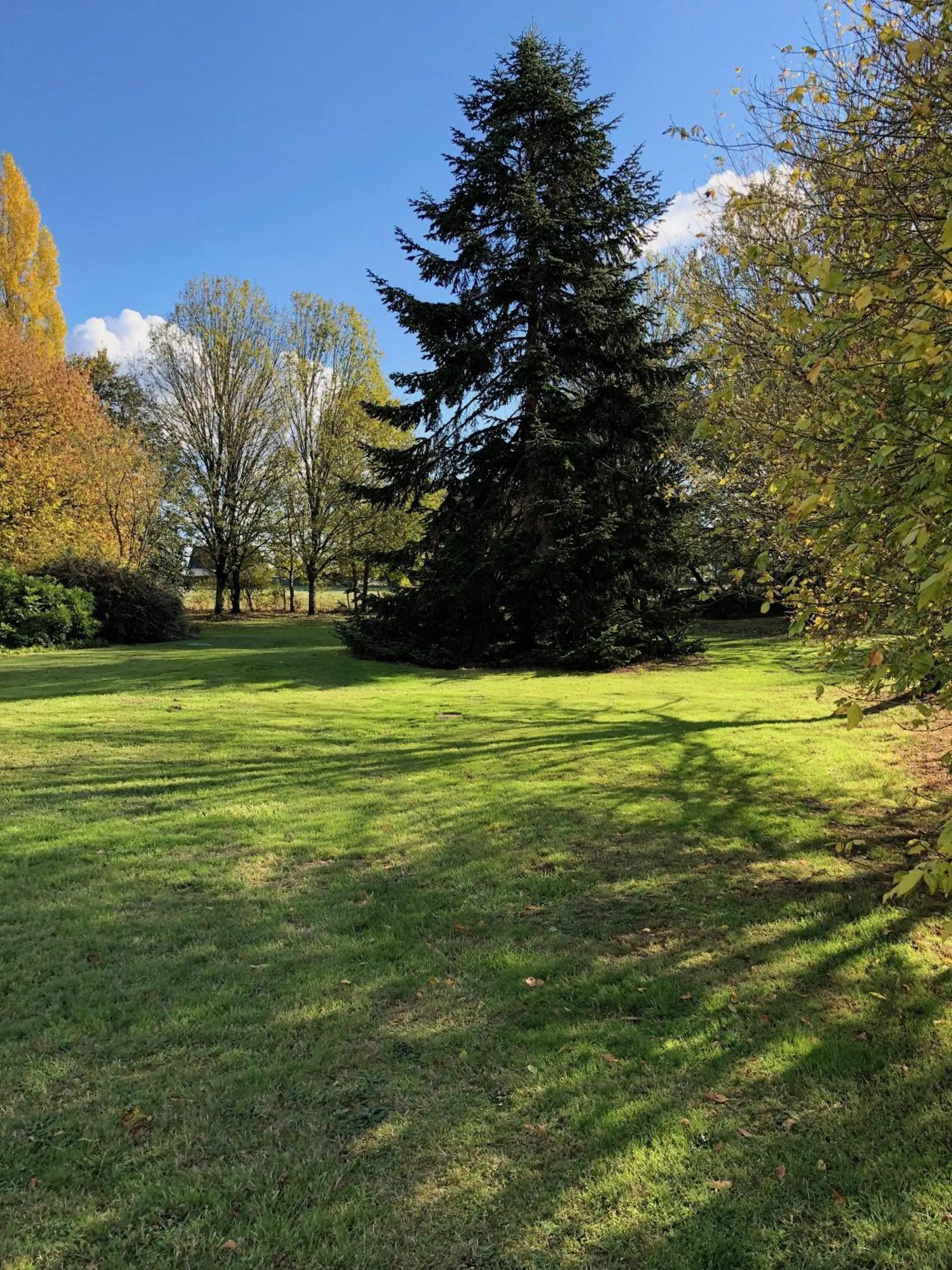 Property building in Domaine de l'Augeonnière