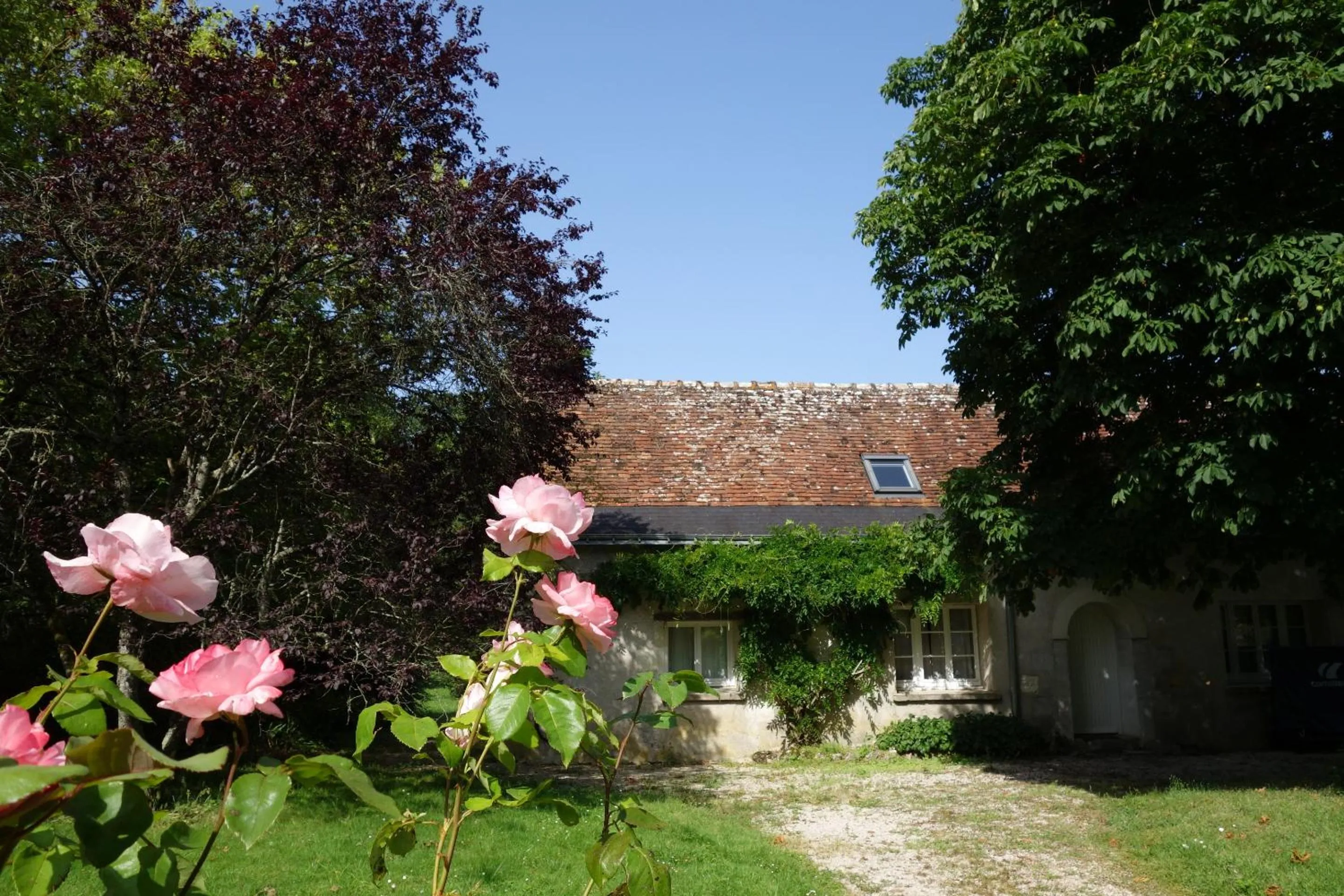 Property building in Domaine de l'Augeonnière