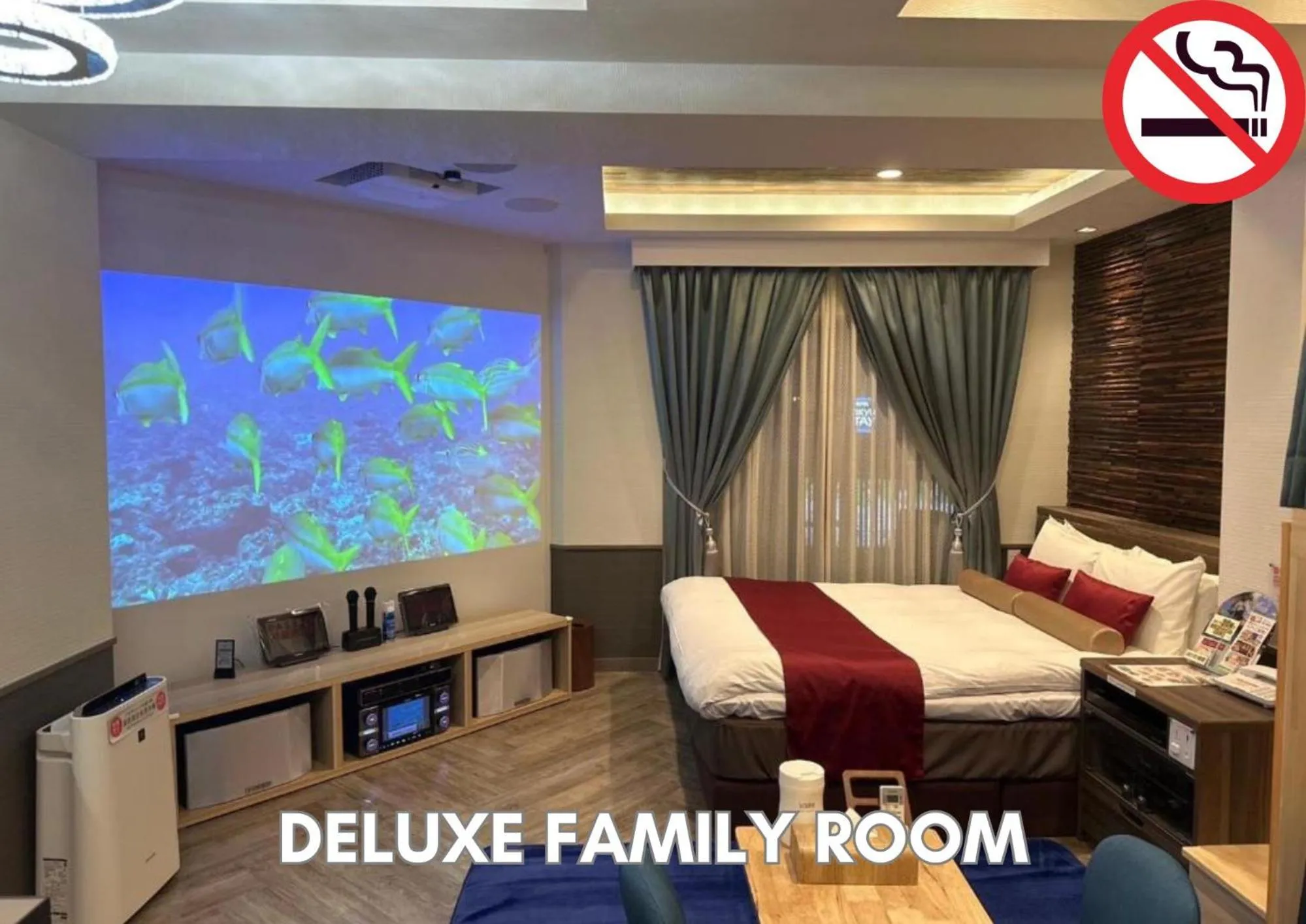 TV and multimedia in Hotel Pasela Living Shinjuku