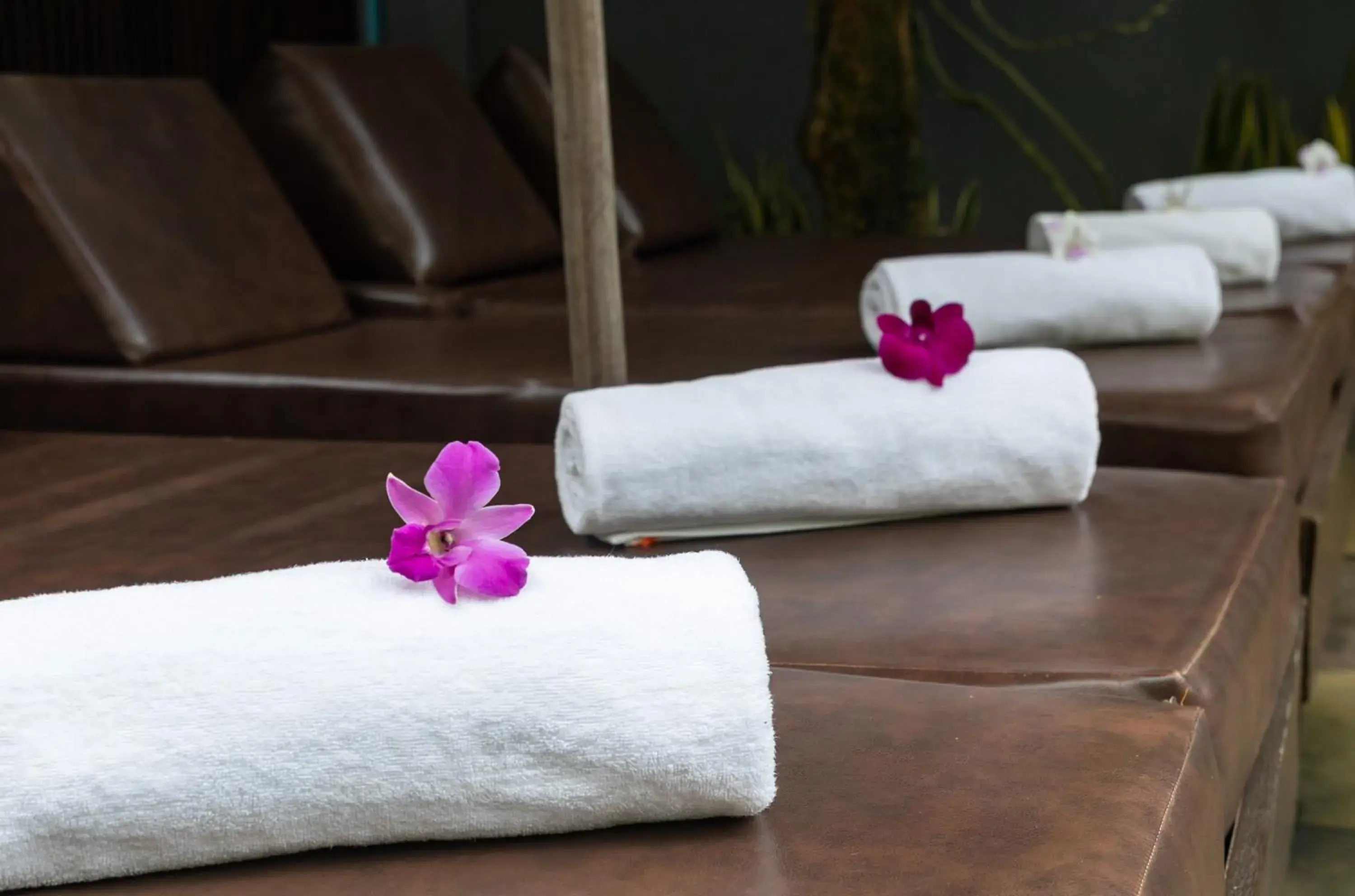 sunbed in Golden Vishnu Villa sunbed in Golden Vishnu Villa