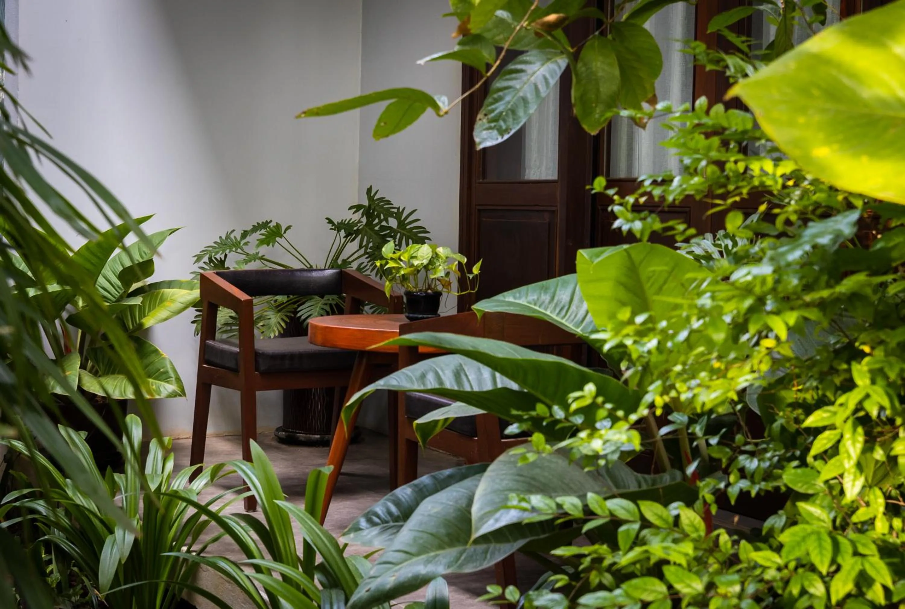 Garden in Golden Vishnu Villa