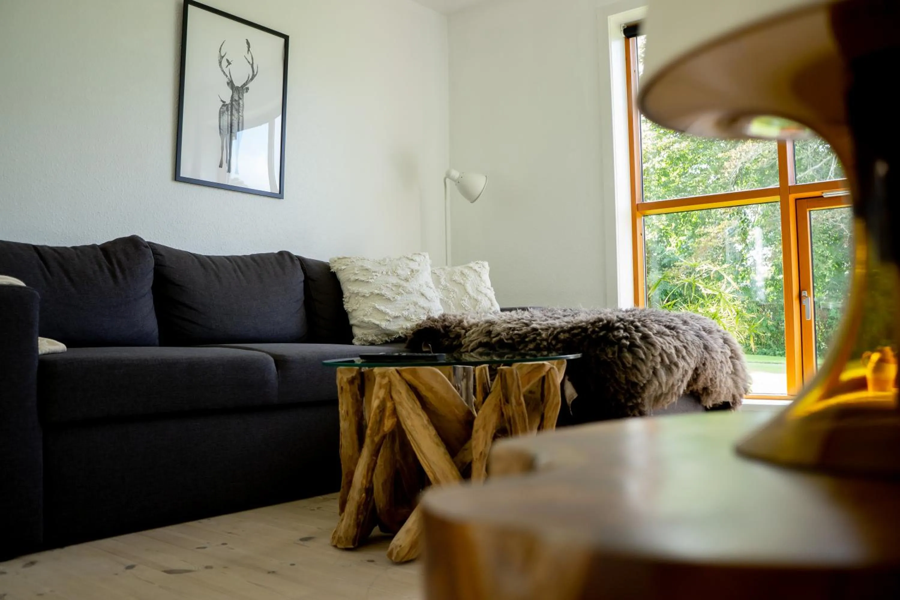 TV and multimedia in Feriehus Thy - I hjertet af Thy