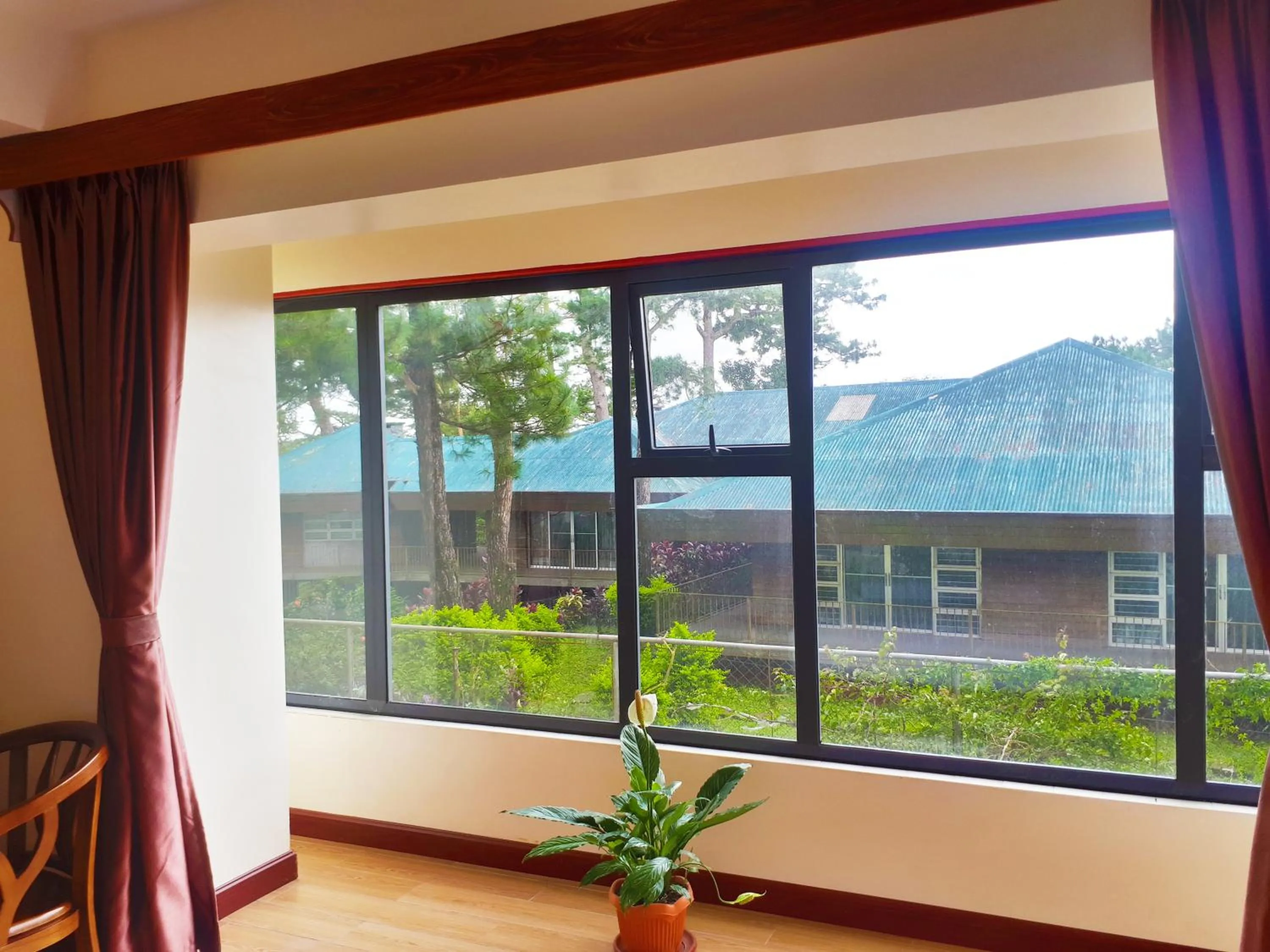 Garden view in 456 Hotel