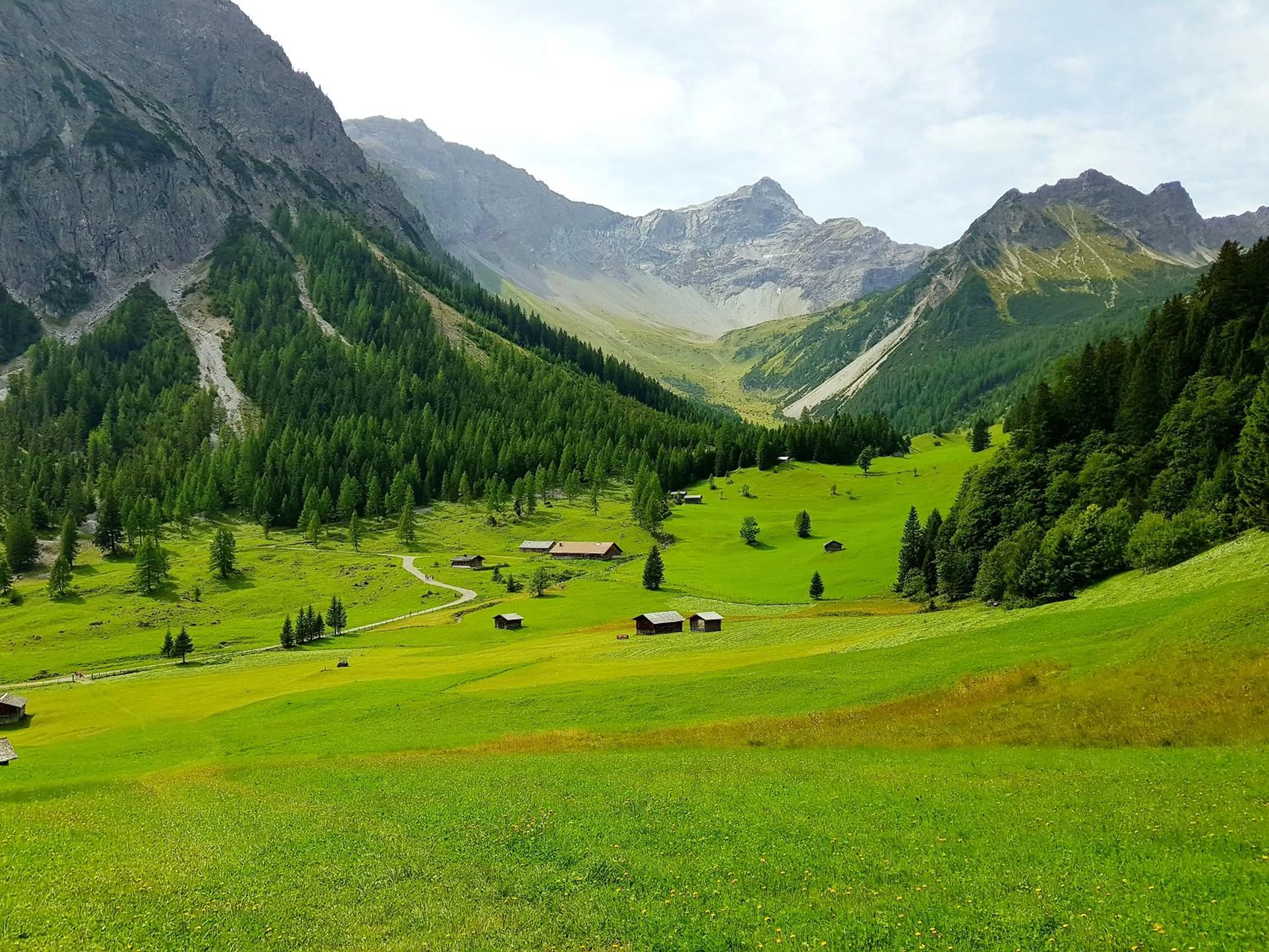 Hiking in Biotel Bertel Naturappartements