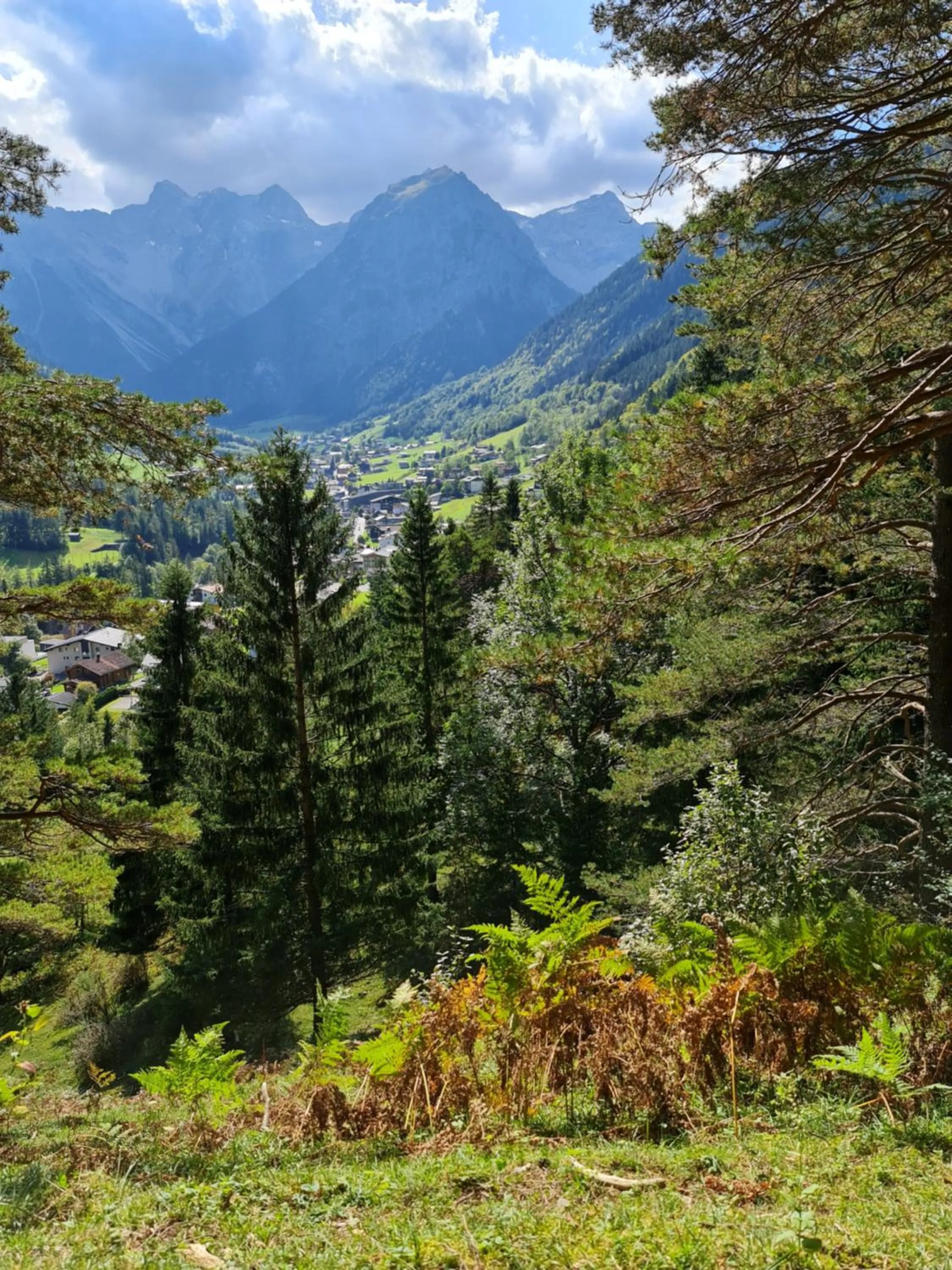 Hiking in Biotel Bertel Naturappartements