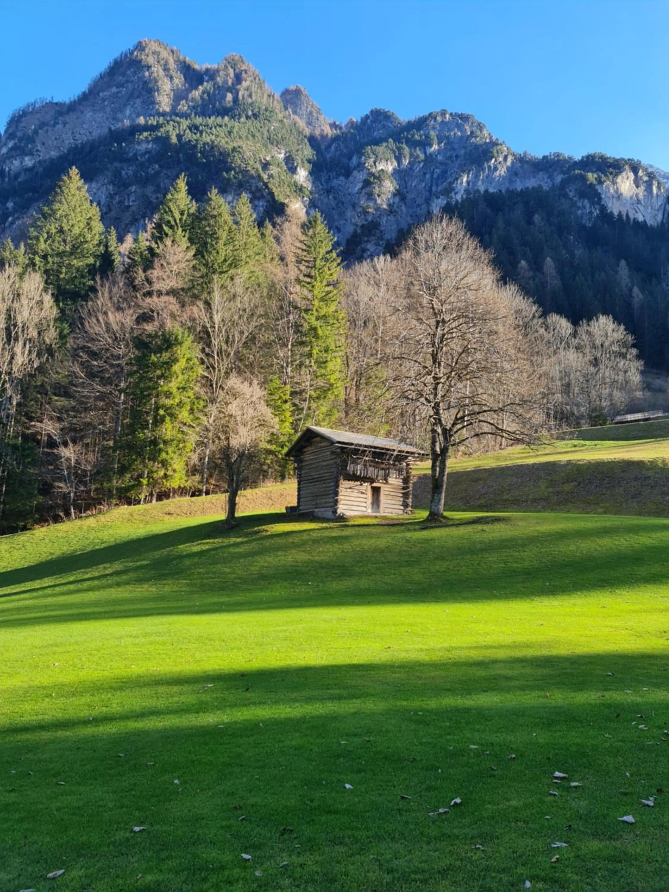 Golfcourse in Biotel Bertel Naturappartements