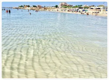 Beach in B&B Sale e Sole sul Mare