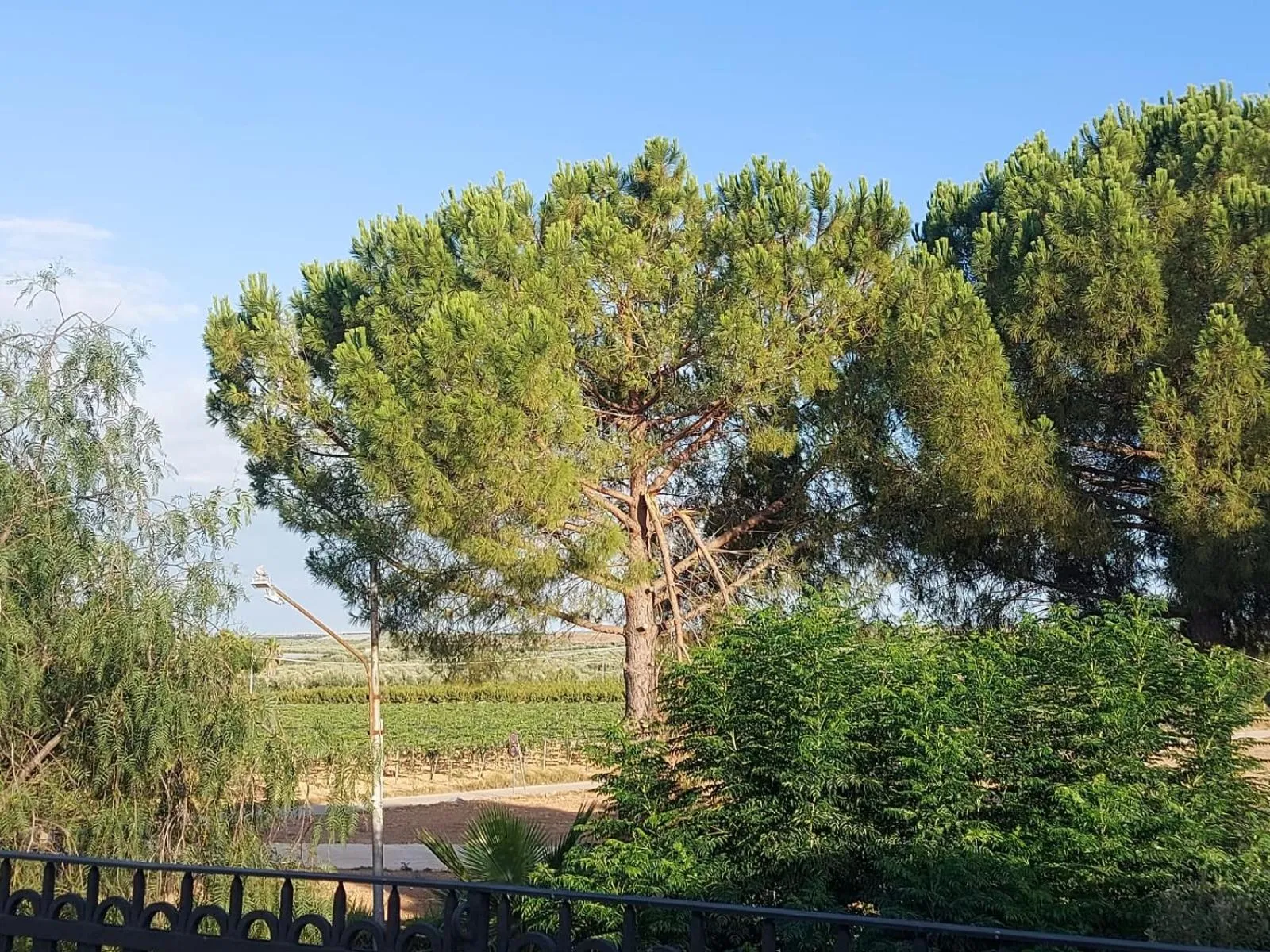 View (from property/room) in LA VILLA DEL CONTE