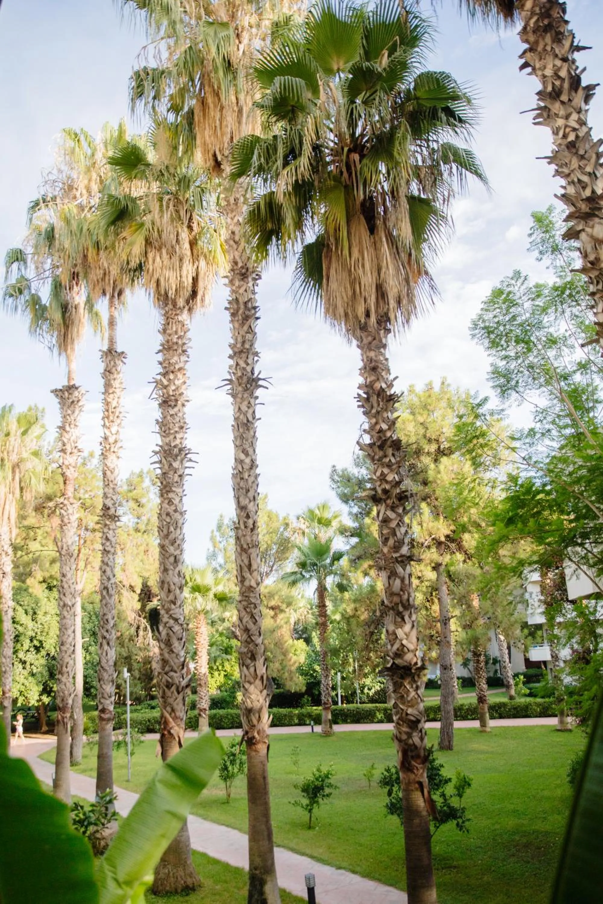 Garden in Fun & Sun Club Saphire