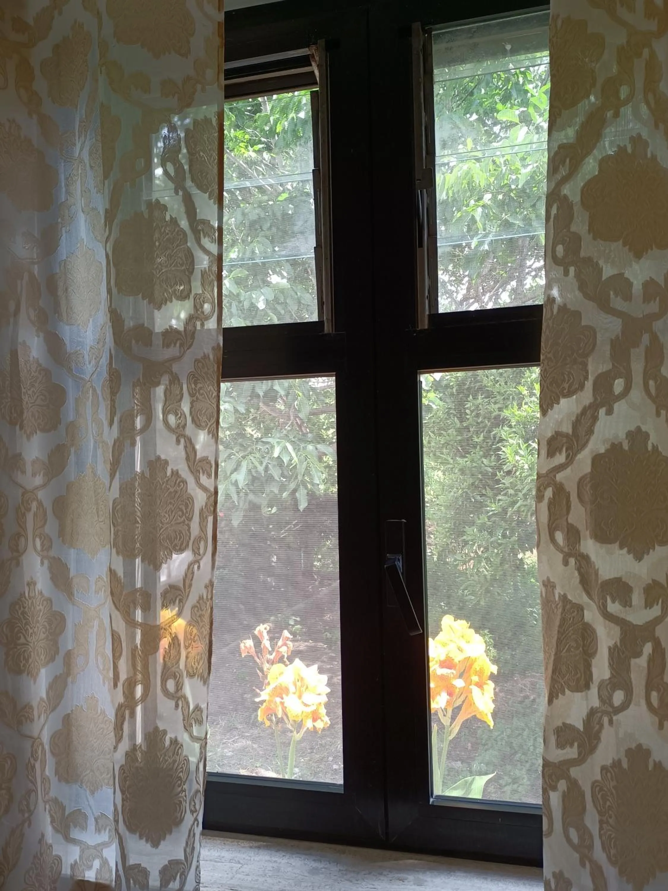 Garden in Domus Hera