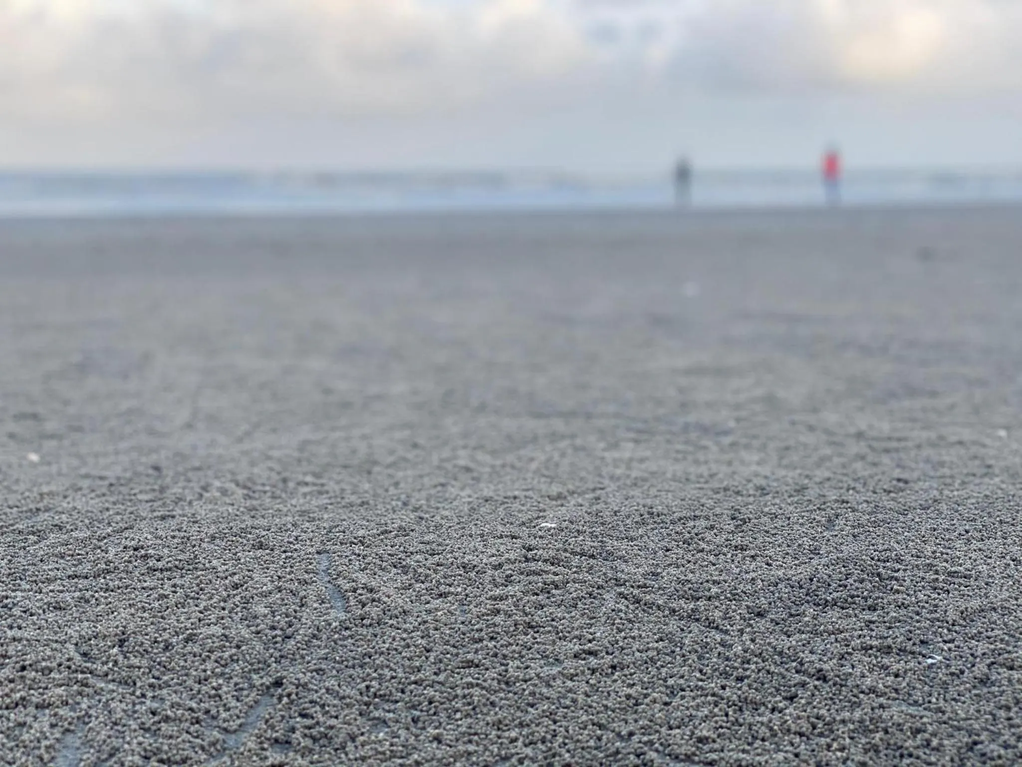 Timurbay by Seascape