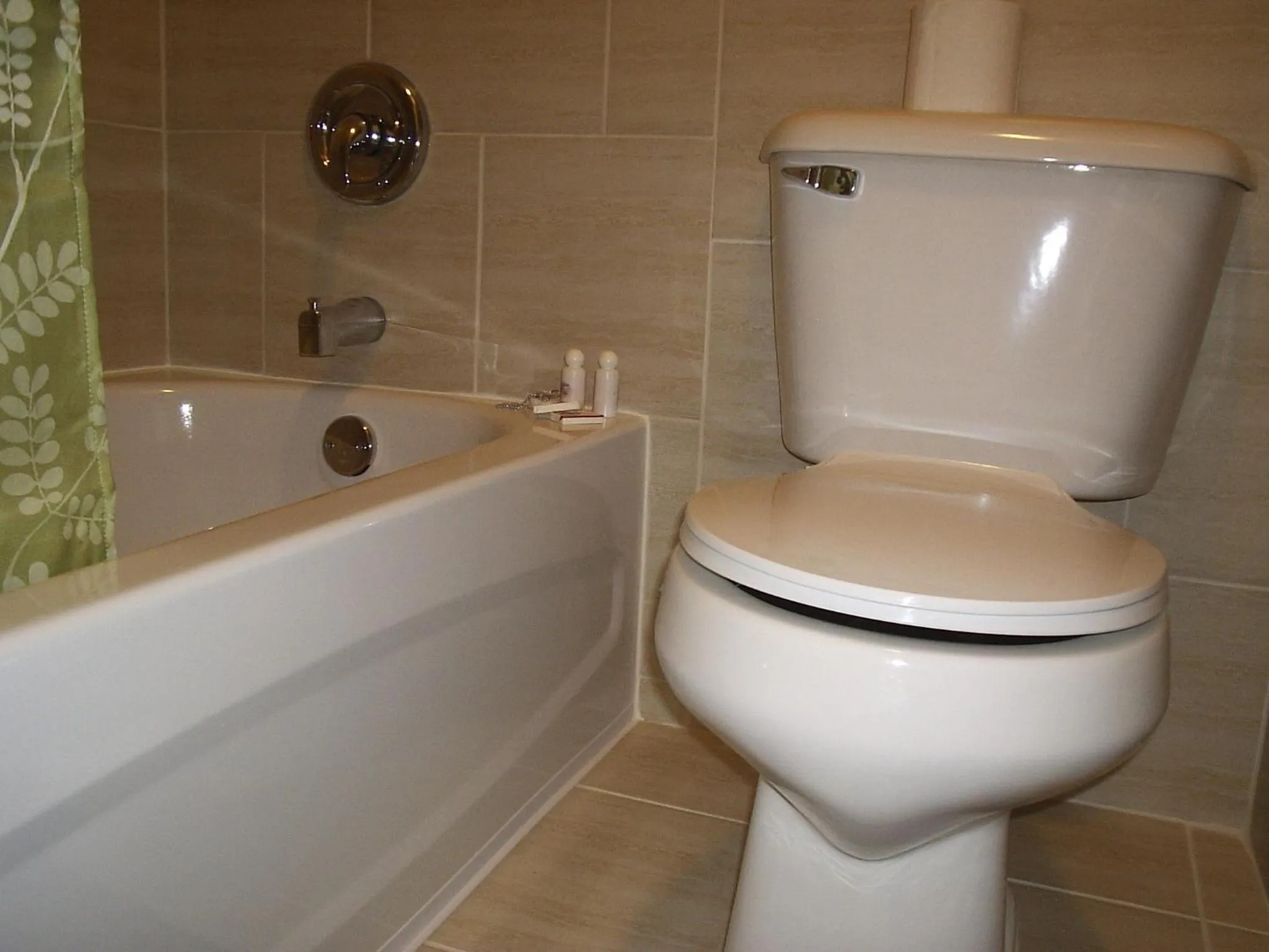 Toilet in Motor Court Motel