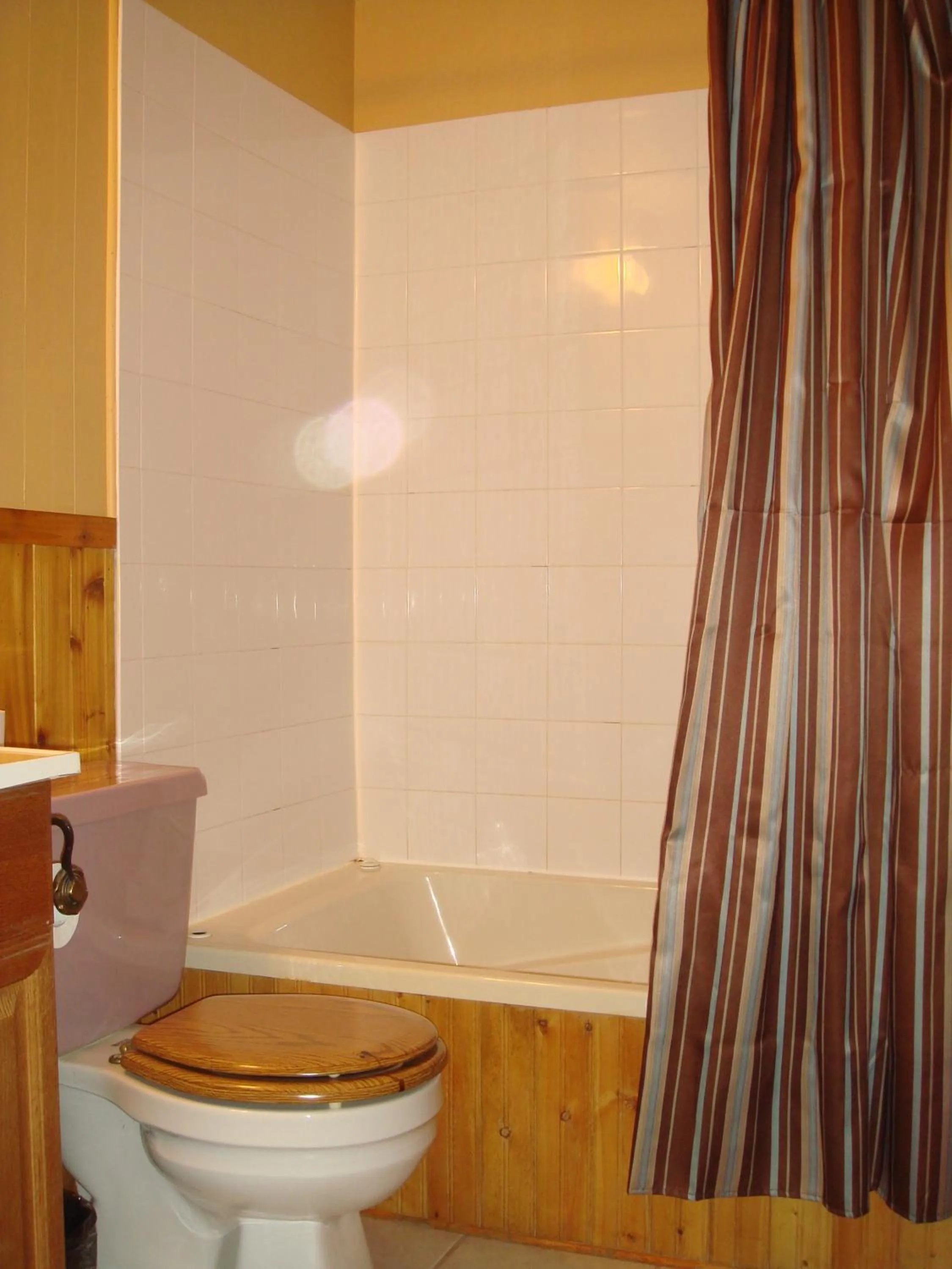 Toilet in Motor Court Motel