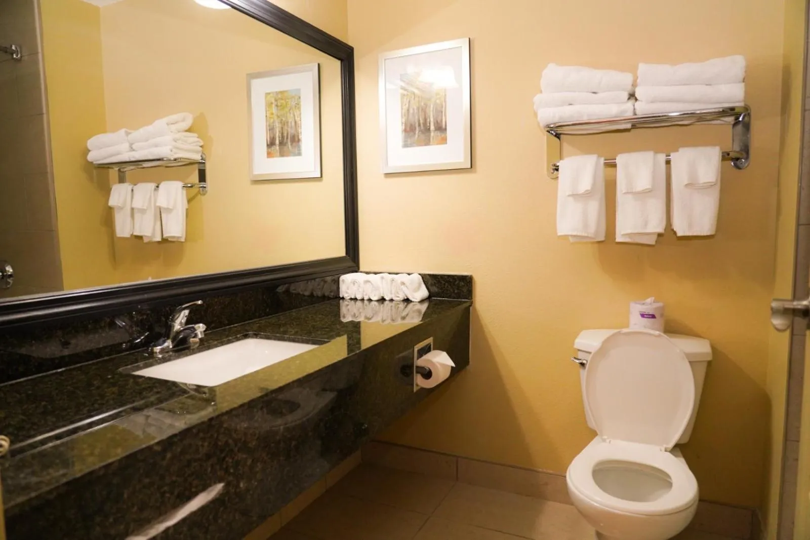 Bathroom in Quality Inn