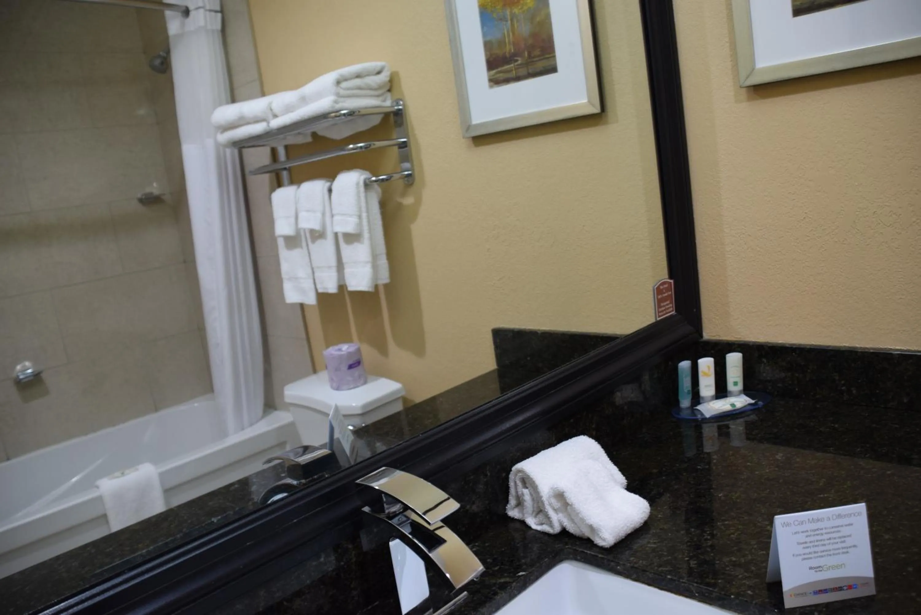 Bathroom in Quality Inn