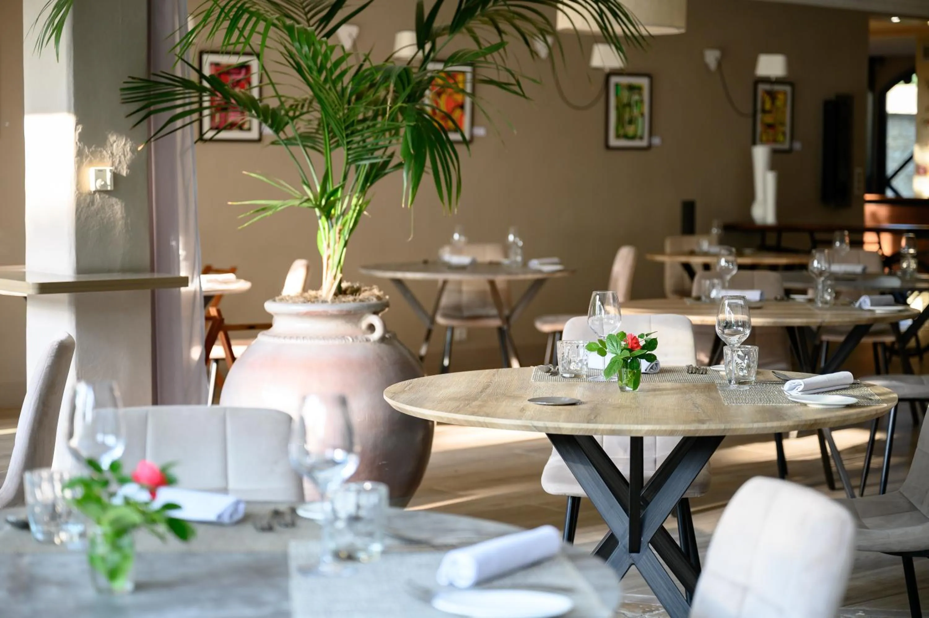 Restaurant/places to eat in Villa Augusta