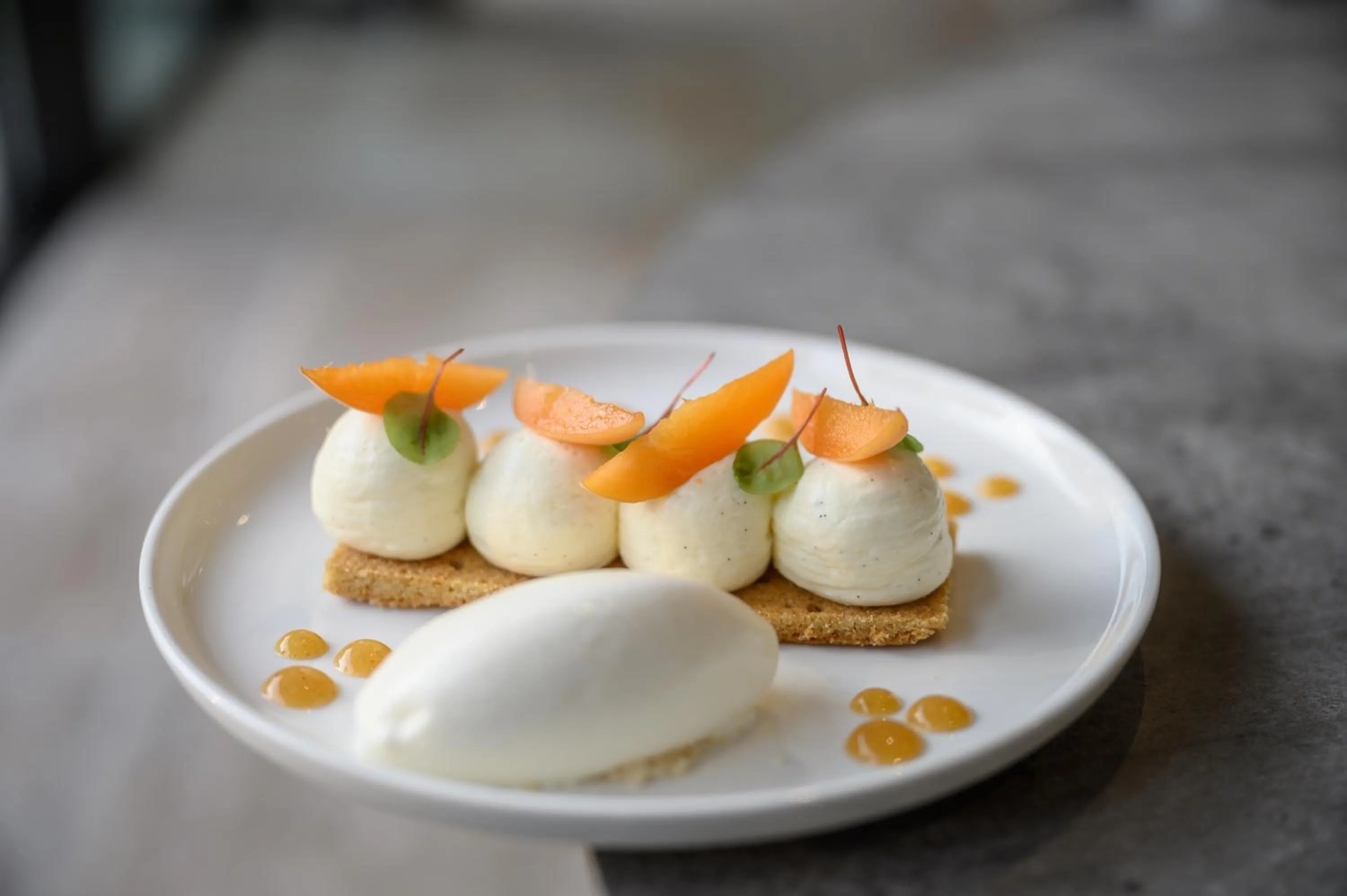 Restaurant/places to eat in Villa Augusta