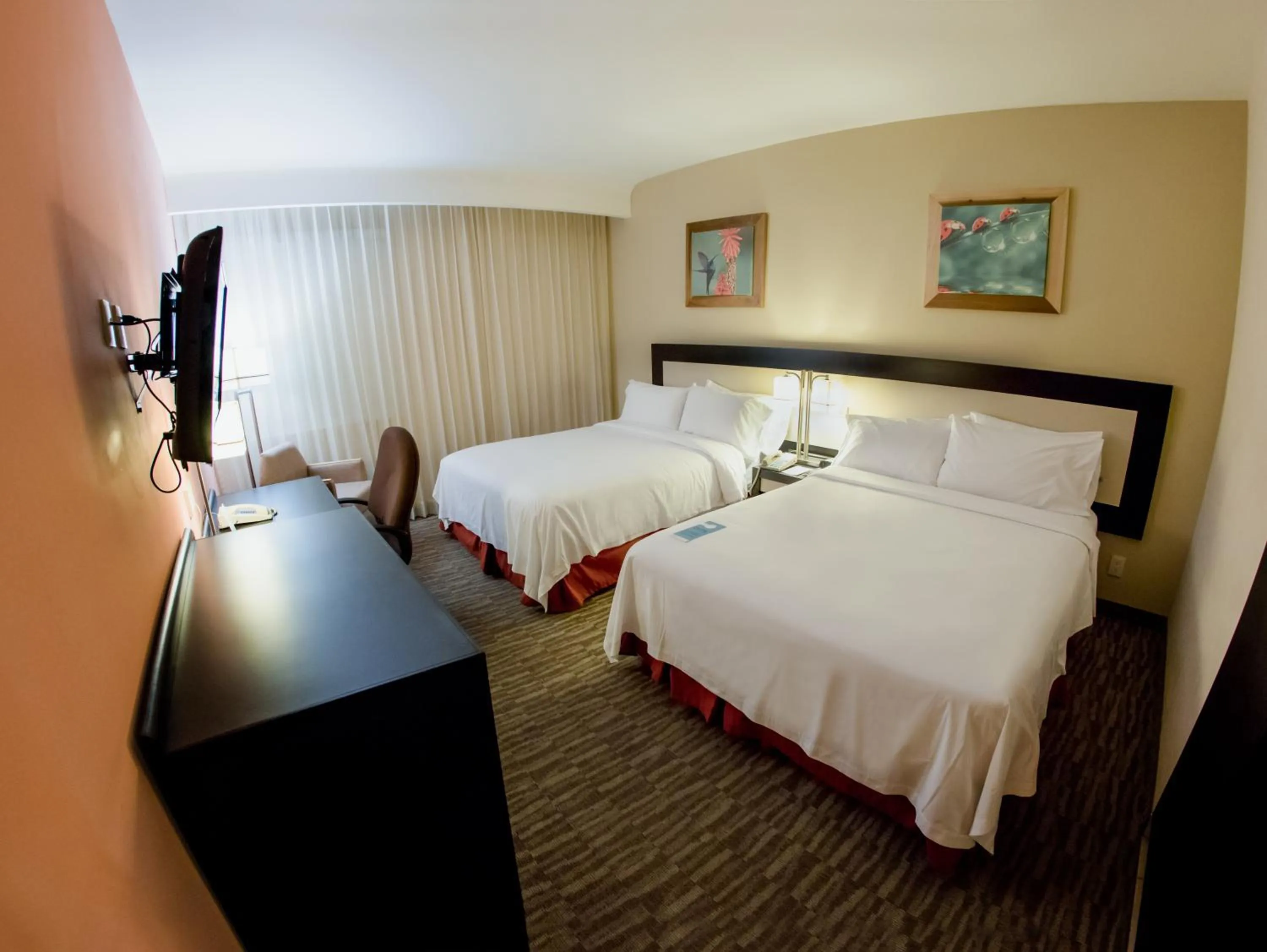 Bed in Excellence Express & Suites