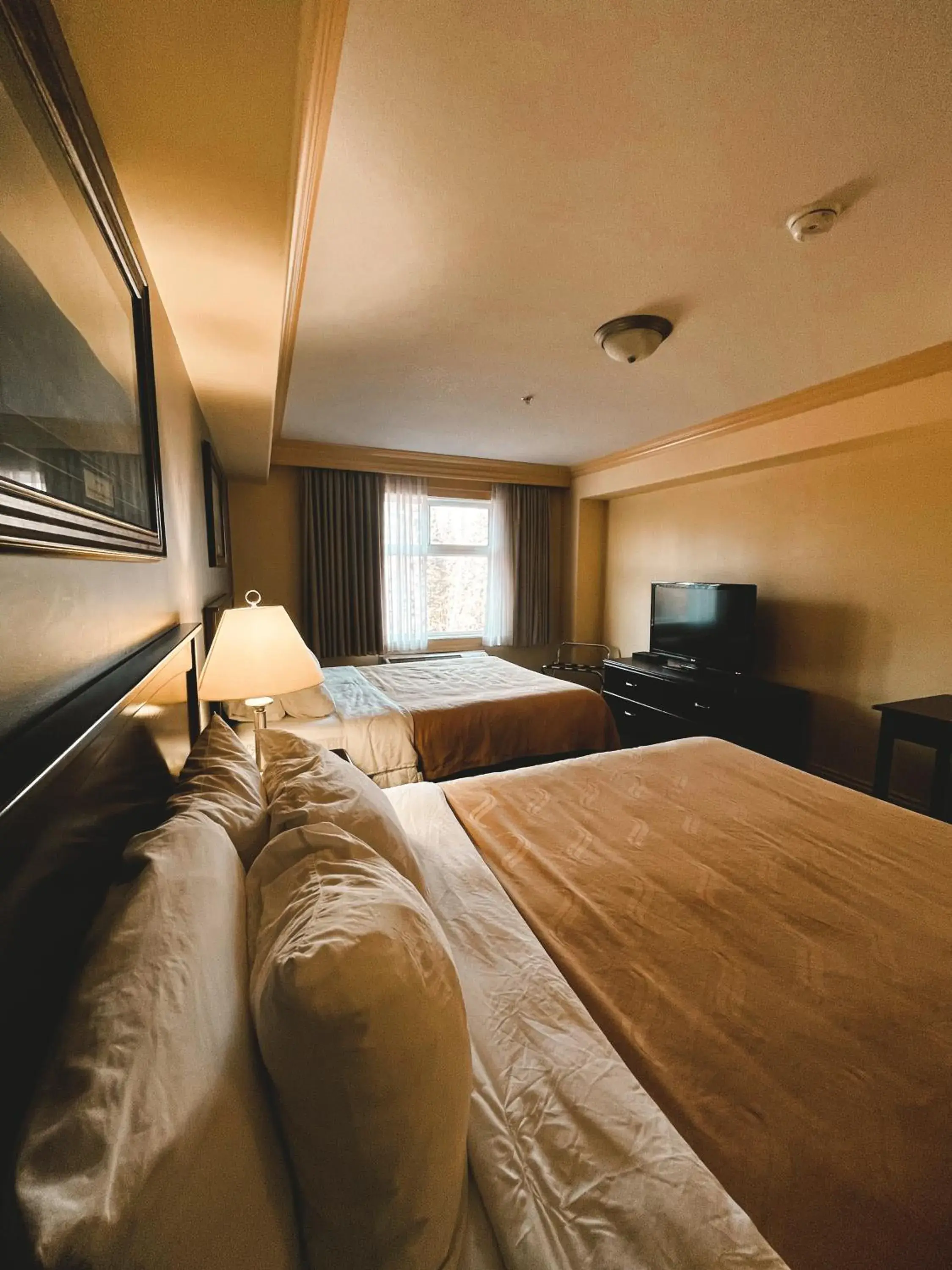 Bedroom in Quality Inn & Suites Hinton Bedroom in Quality Inn & Suites Hinton