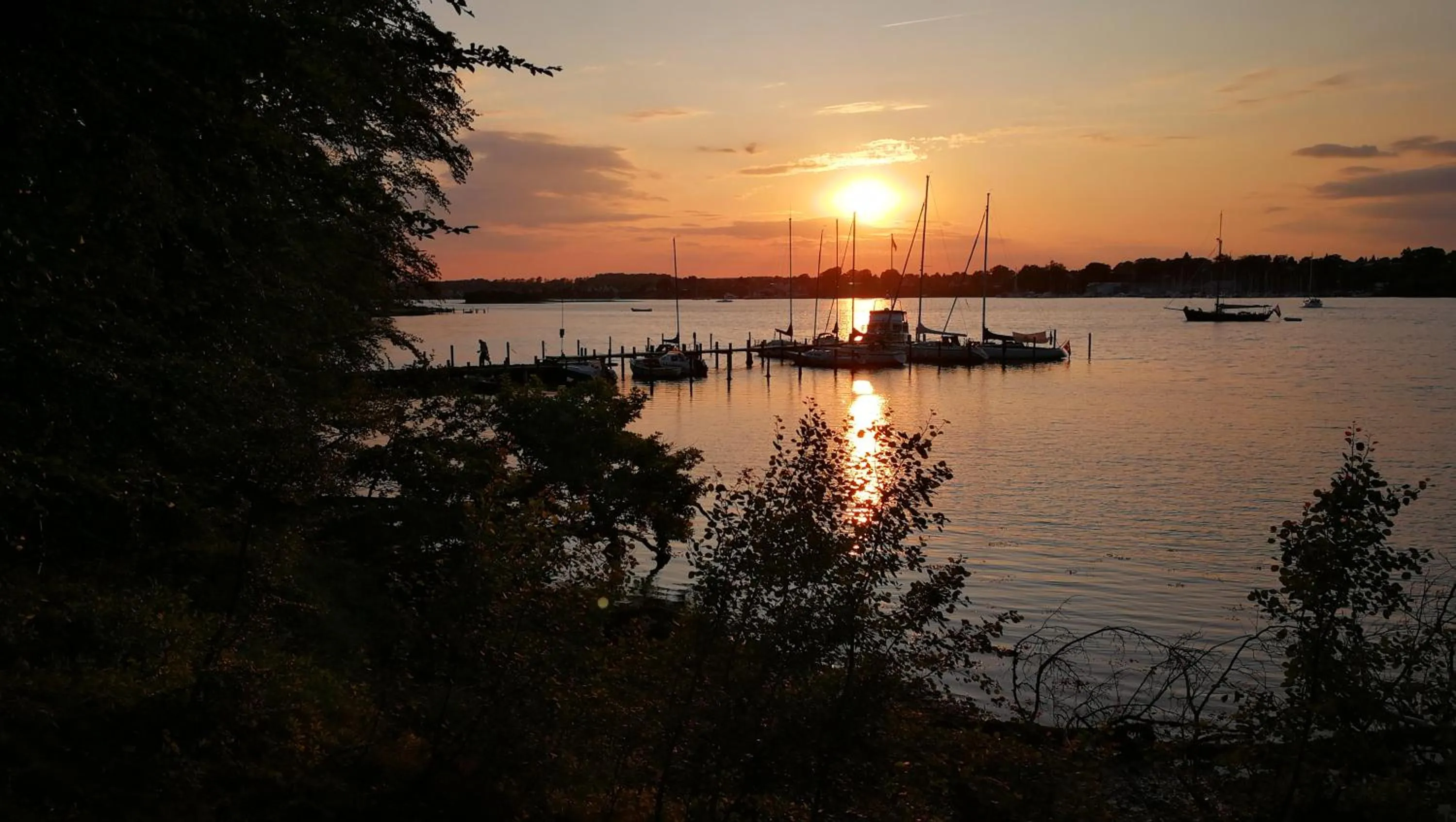 Natural landscape in Kastanievejens overnatning