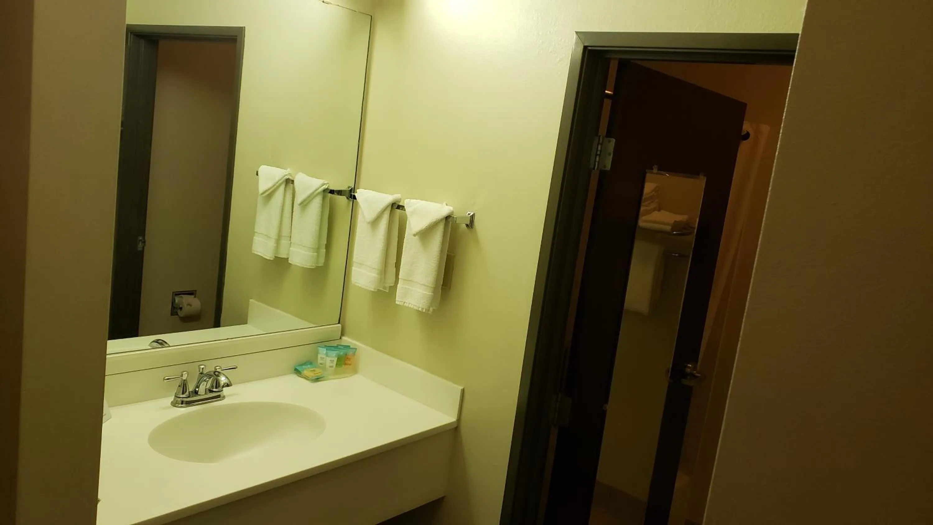 Bathroom in Travelodge by Wyndham Carlsbad NM