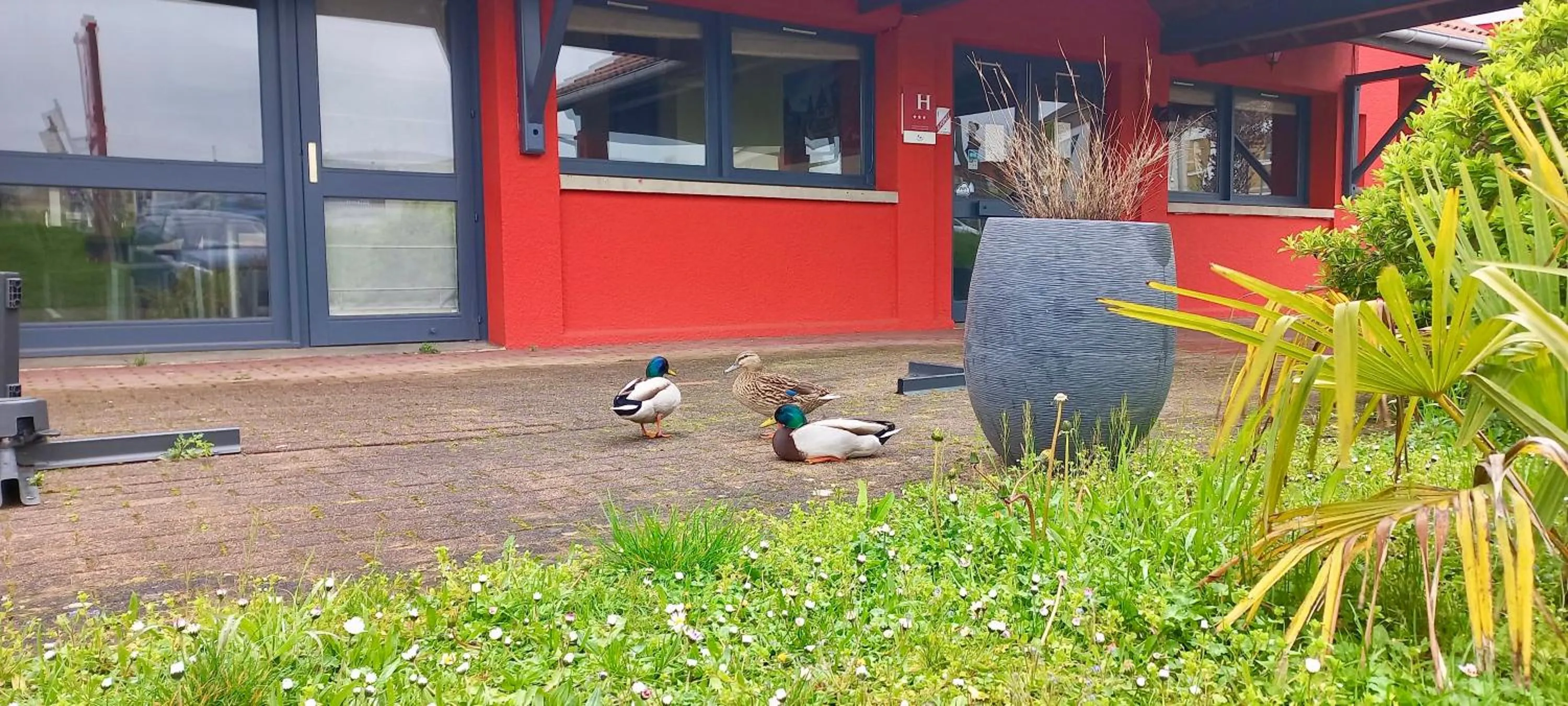 Facade/entrance in HÔTEL ÉDEN - Metz Nord - Woippy - Porte du Luxembourg - A31