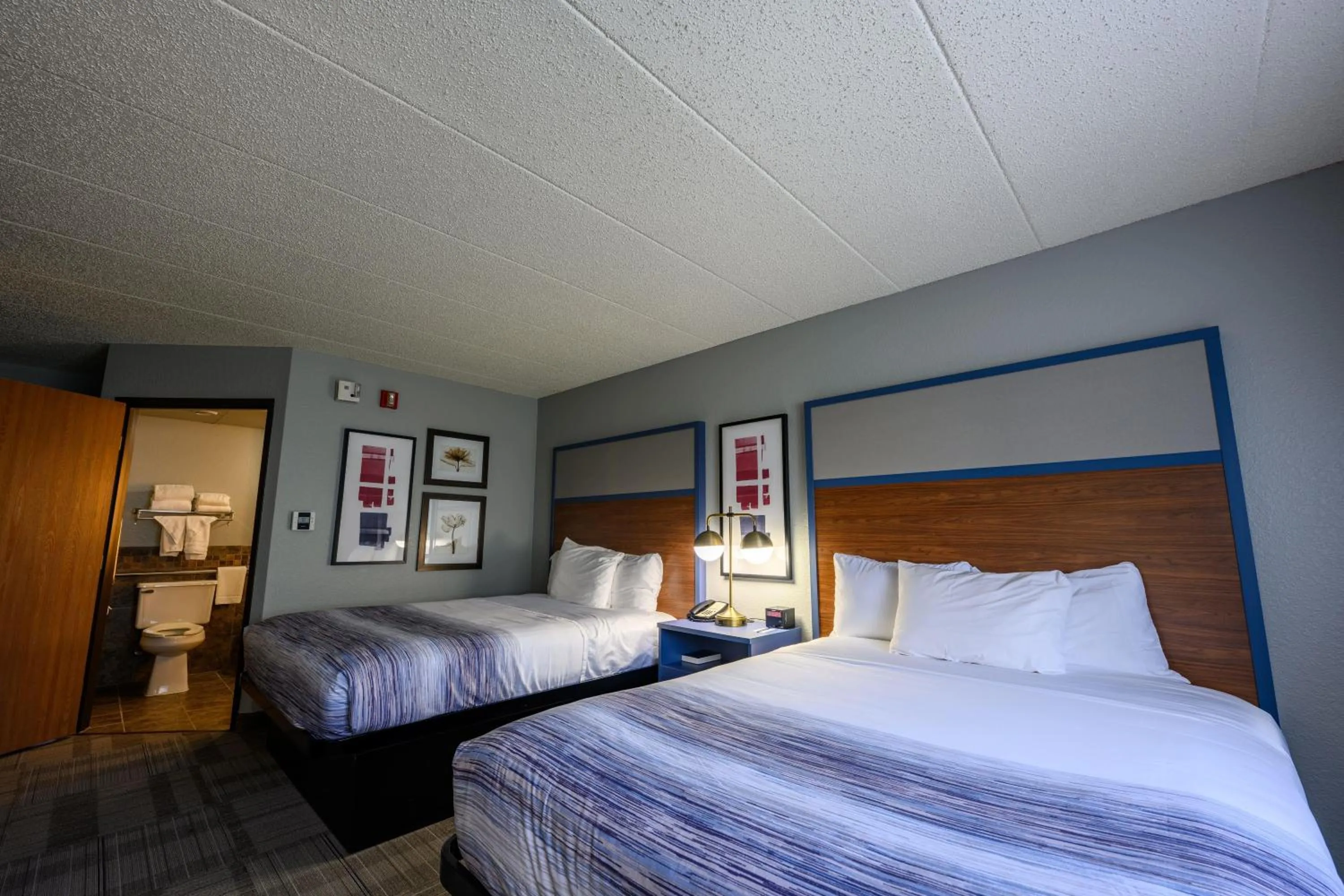 Photo of the whole room, Bed in AmericInn by Wyndham Monroe