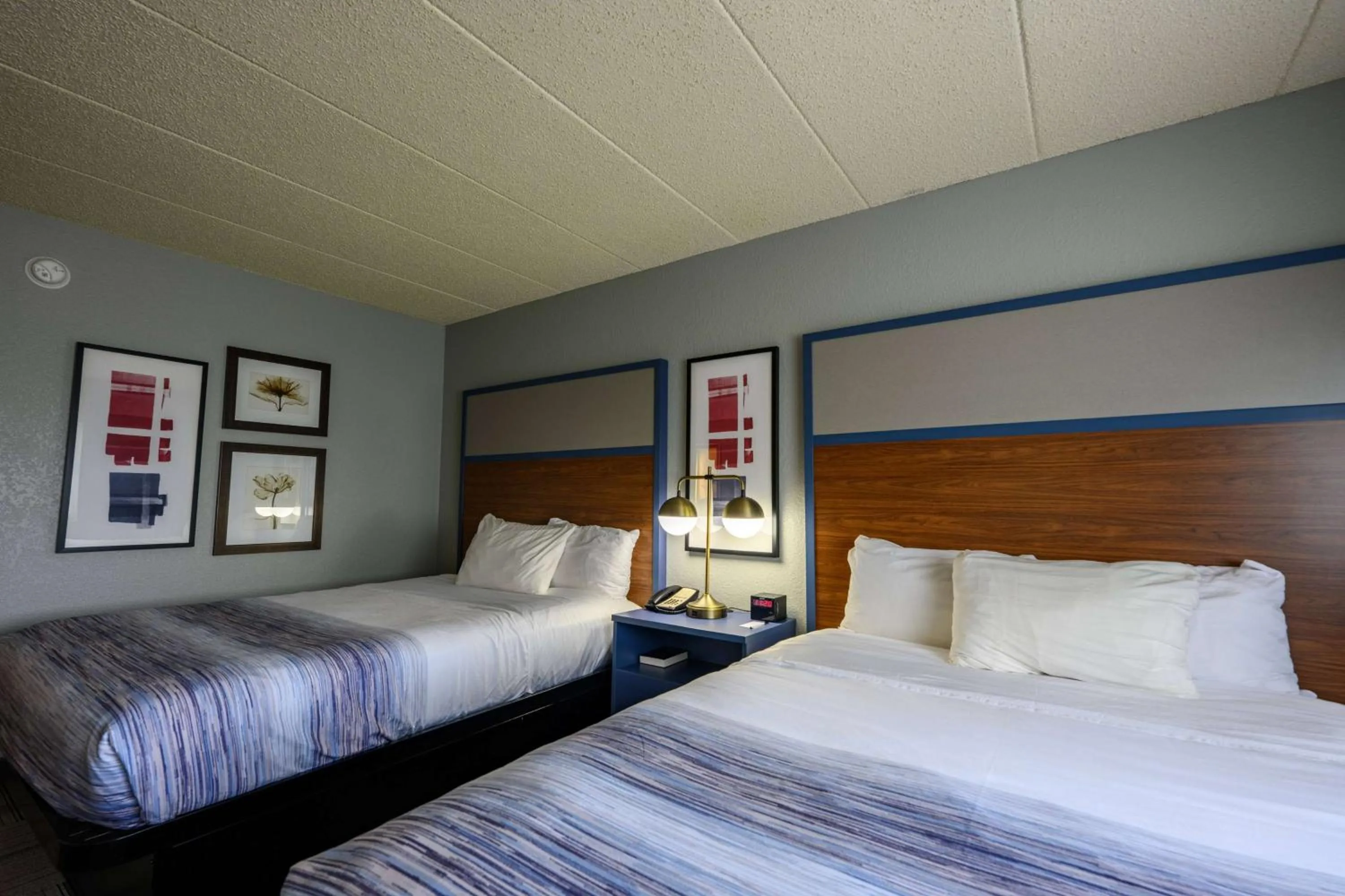 Photo of the whole room, Bed in AmericInn by Wyndham Monroe