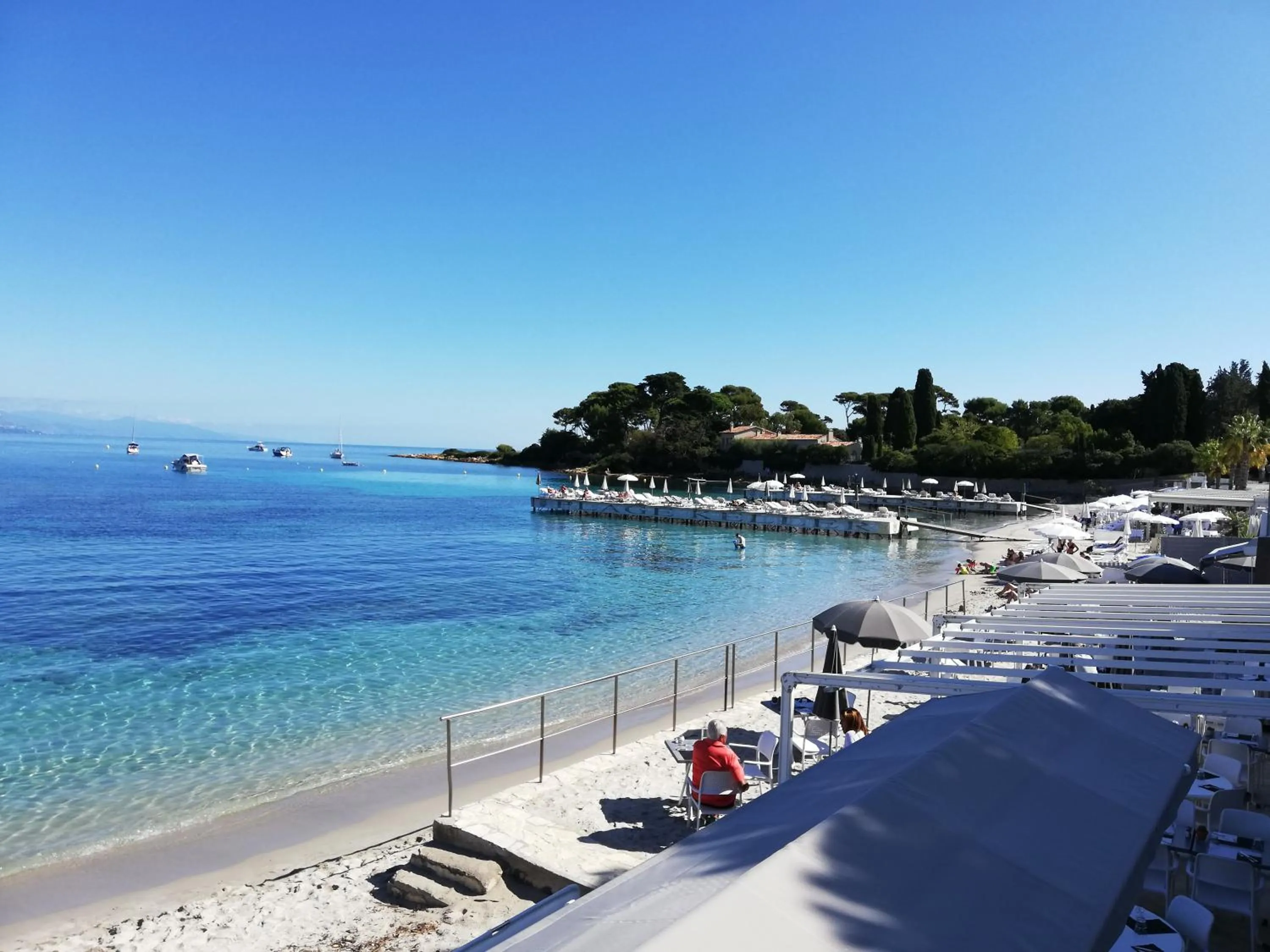 Natural landscape in Hotel Miramar- Cap d'Antibes - La Garoupe plage