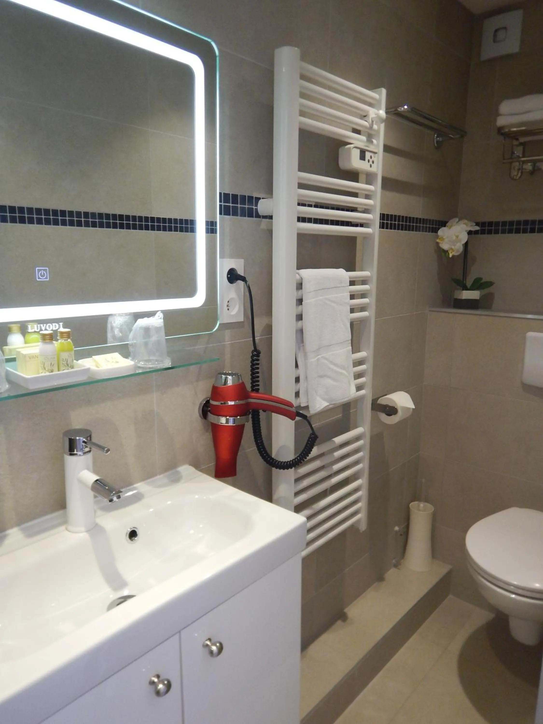 Animals in Hotel Miramar- Cap d'Antibes - La Garoupe plage