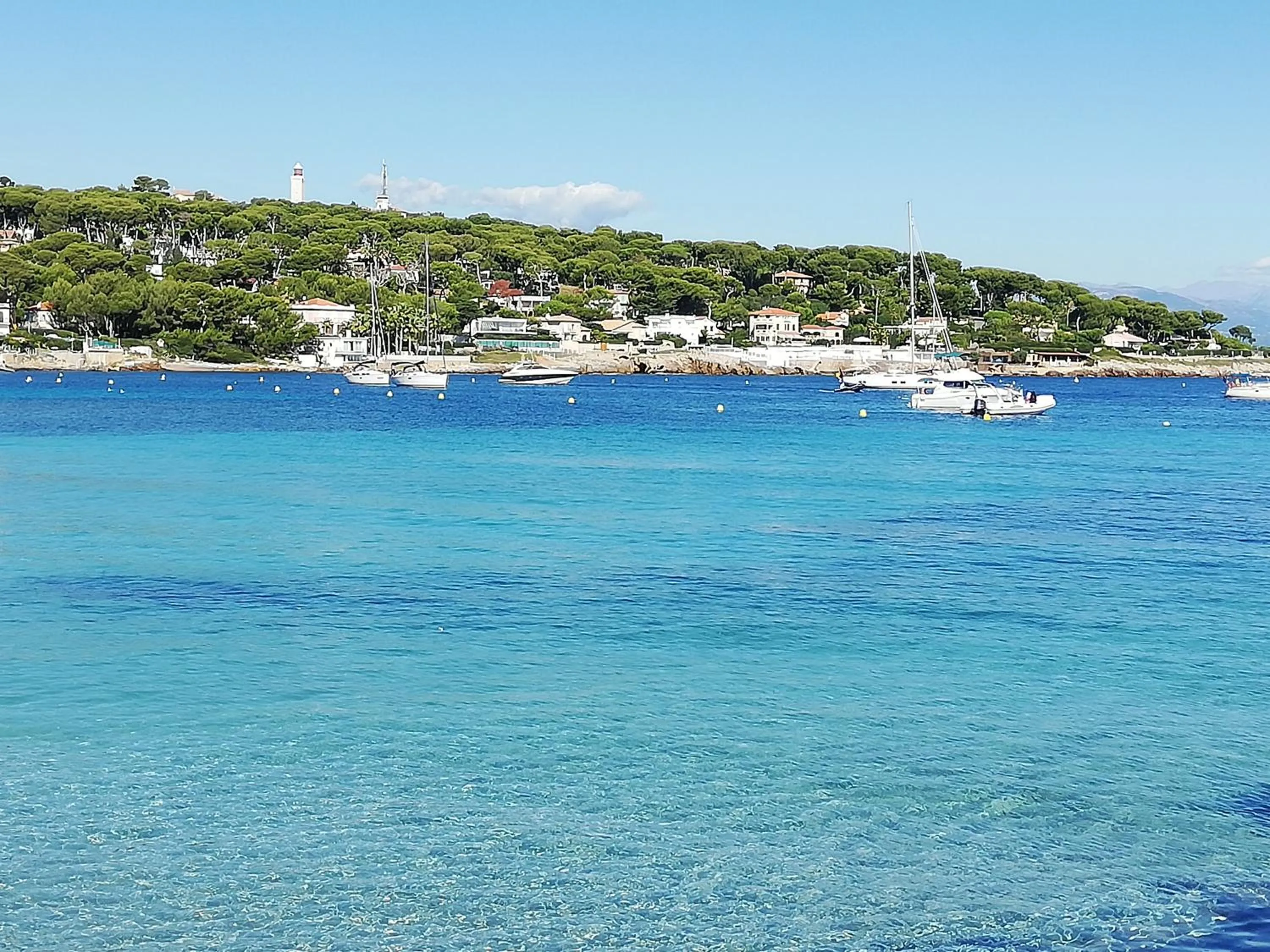 Natural landscape in Hotel Miramar- Cap d'Antibes - La Garoupe plage