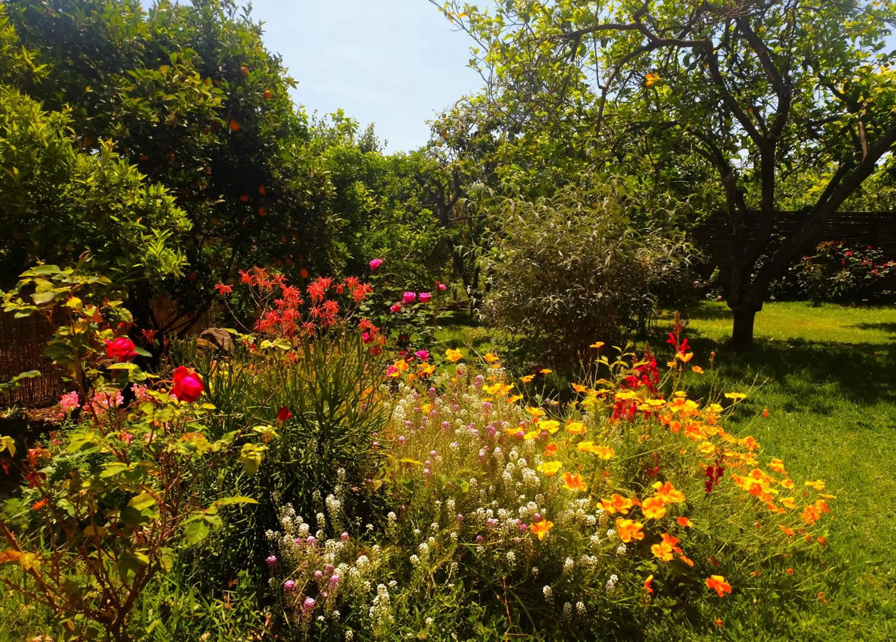 Garden view in B&B CasaNera