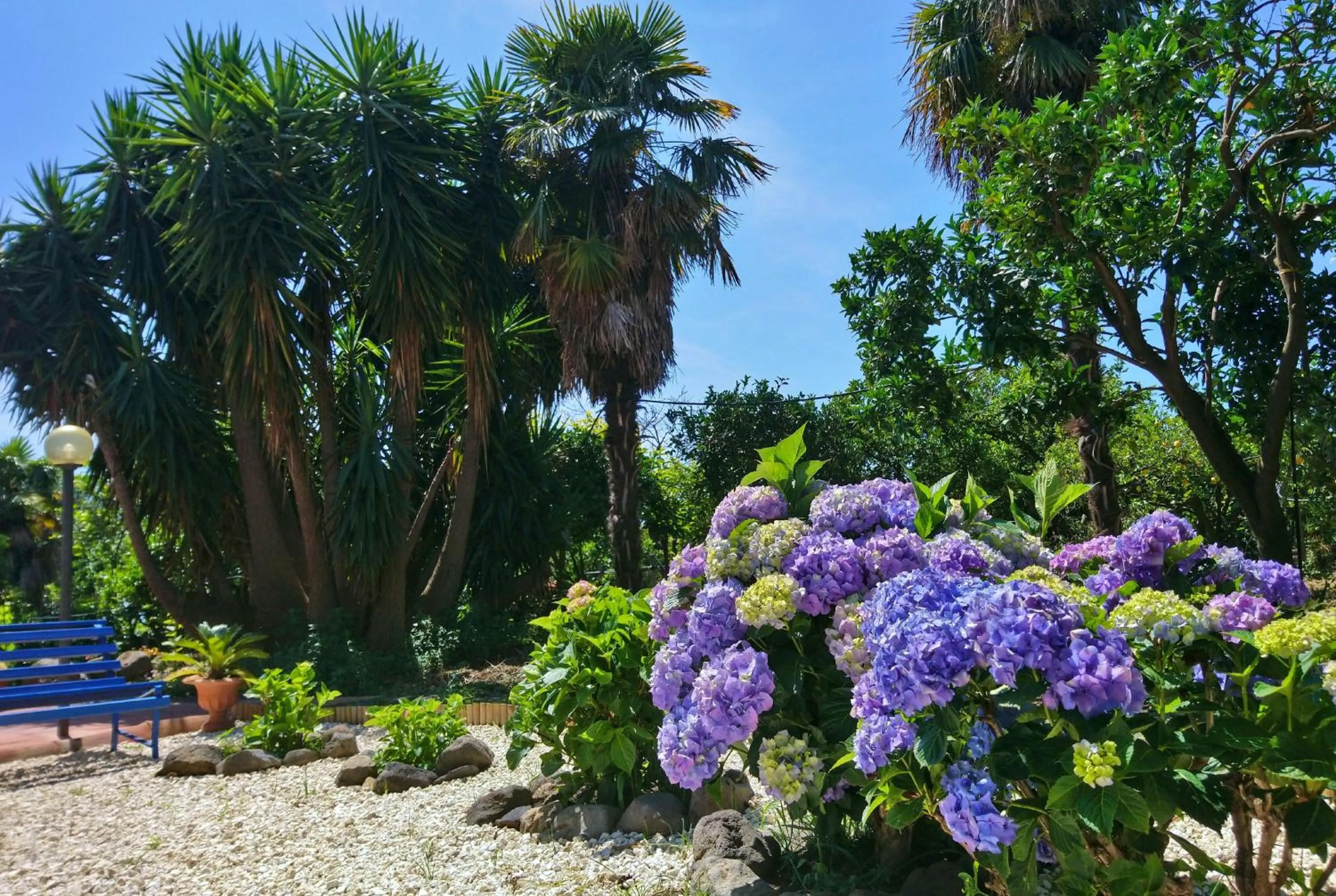 Garden in B&B CasaNera
