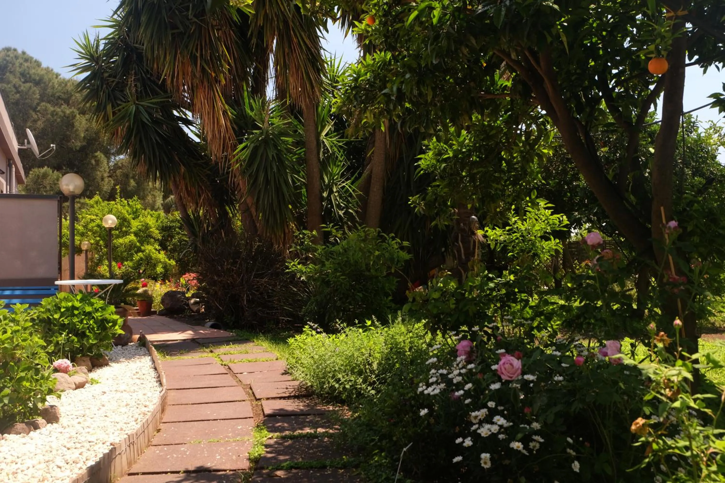 Garden in B&B CasaNera