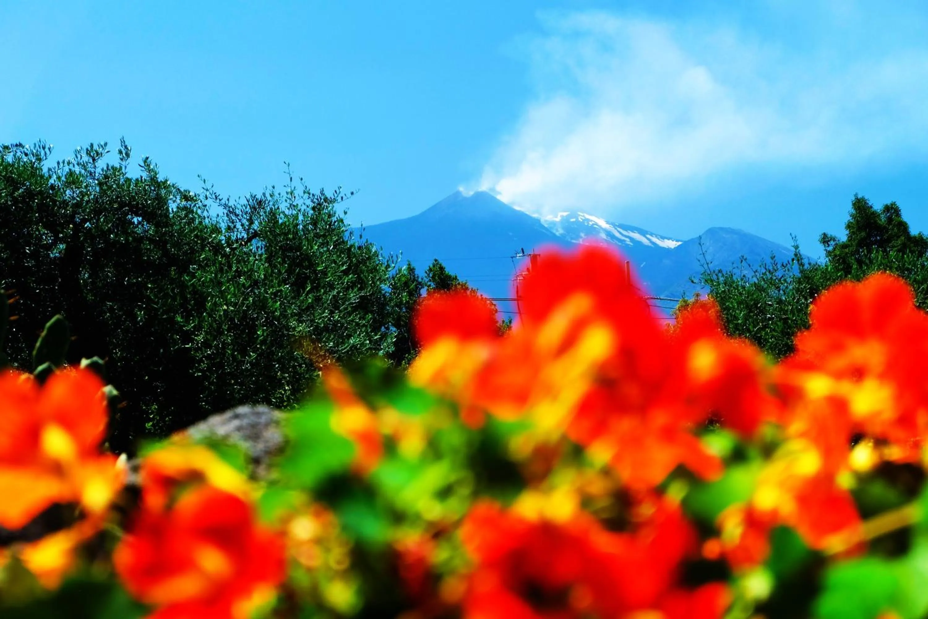 Natural landscape in B&B CasaNera