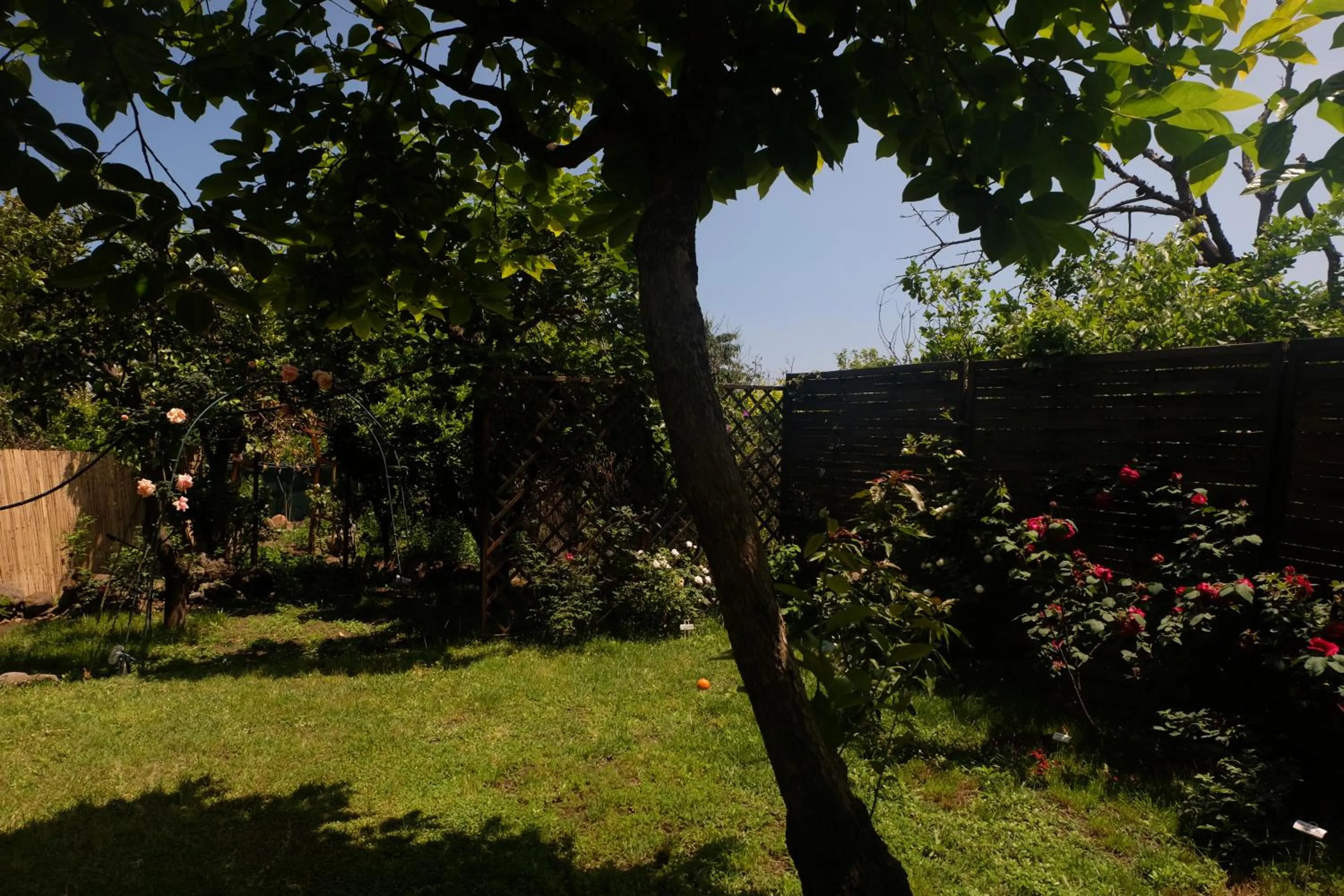 Garden in B&B CasaNera