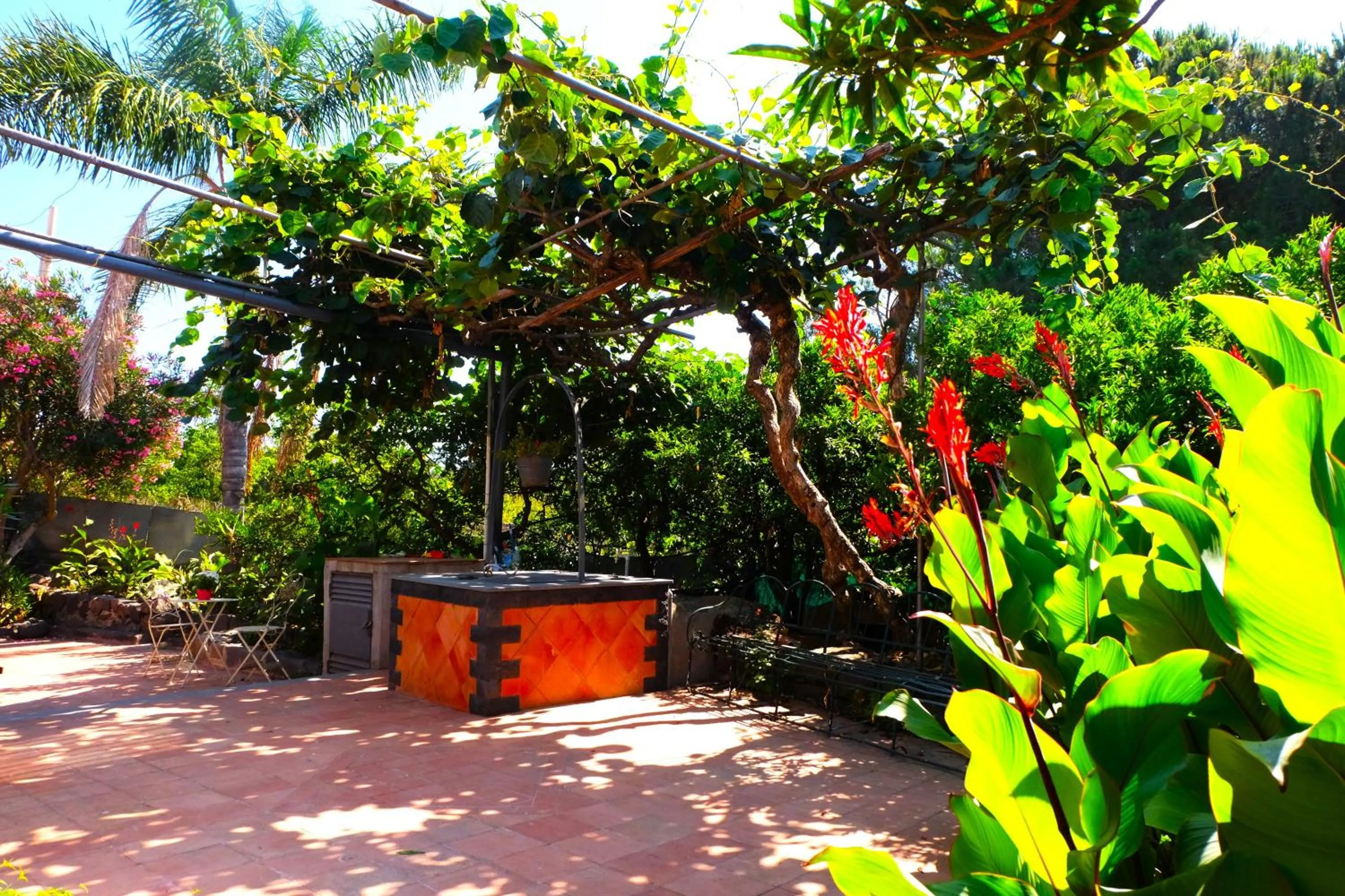 Garden in B&B CasaNera