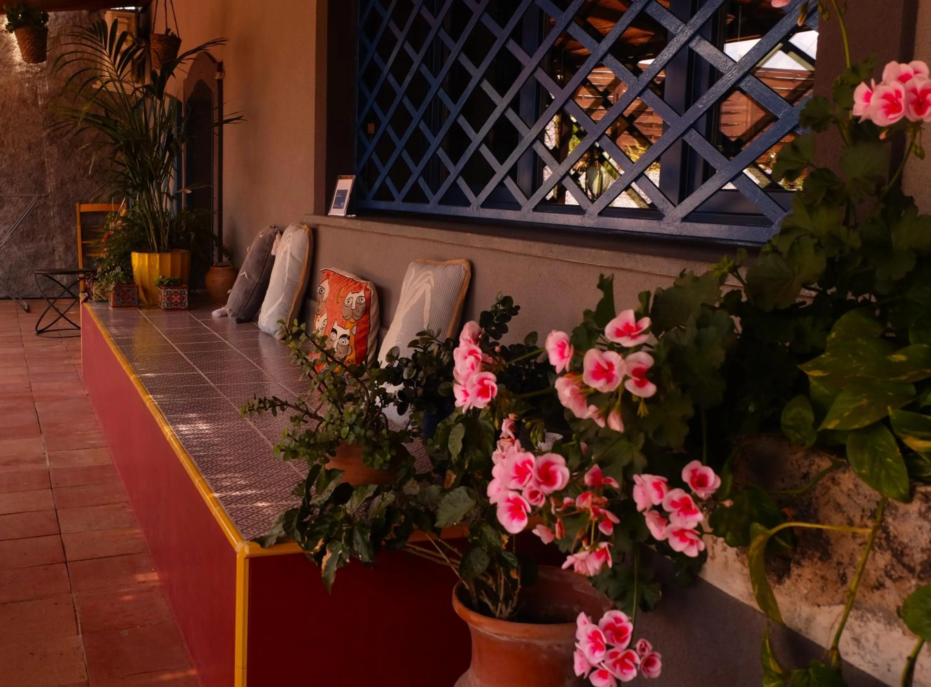 Patio in B&B CasaNera