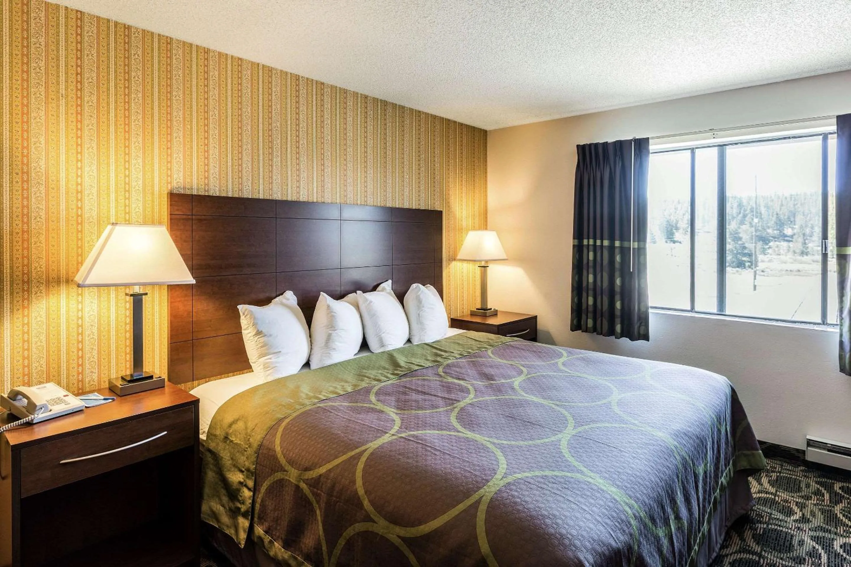 Bedroom, Bed in Rodeway Inn