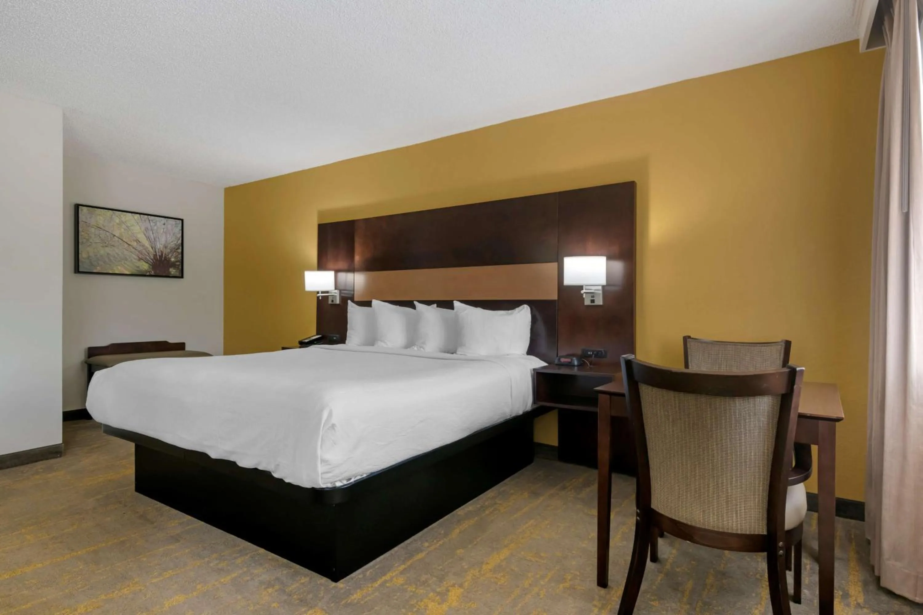 Bedroom, Bed in Best Western Inn Of Palatka