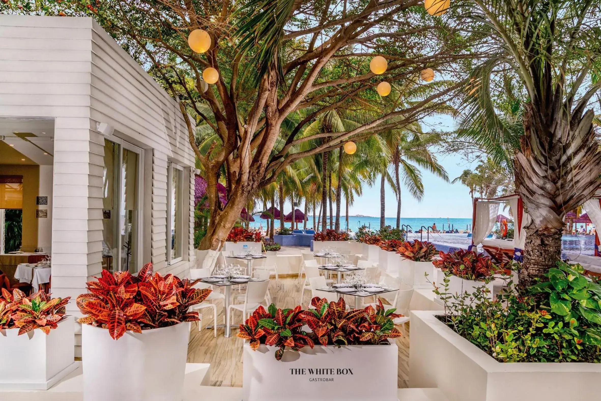 Restaurant/places to eat in The Sens Cancun by Oasis - All Inclusive Restaurant/places to eat in The Sens Cancun by Oasis - All Inclusive