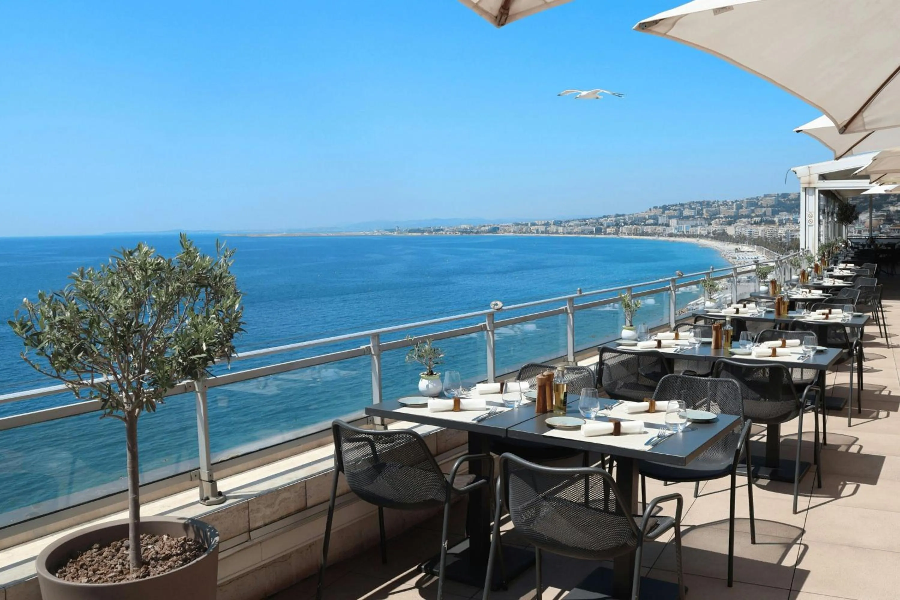 Restaurant/places to eat in Le Meridien Nice