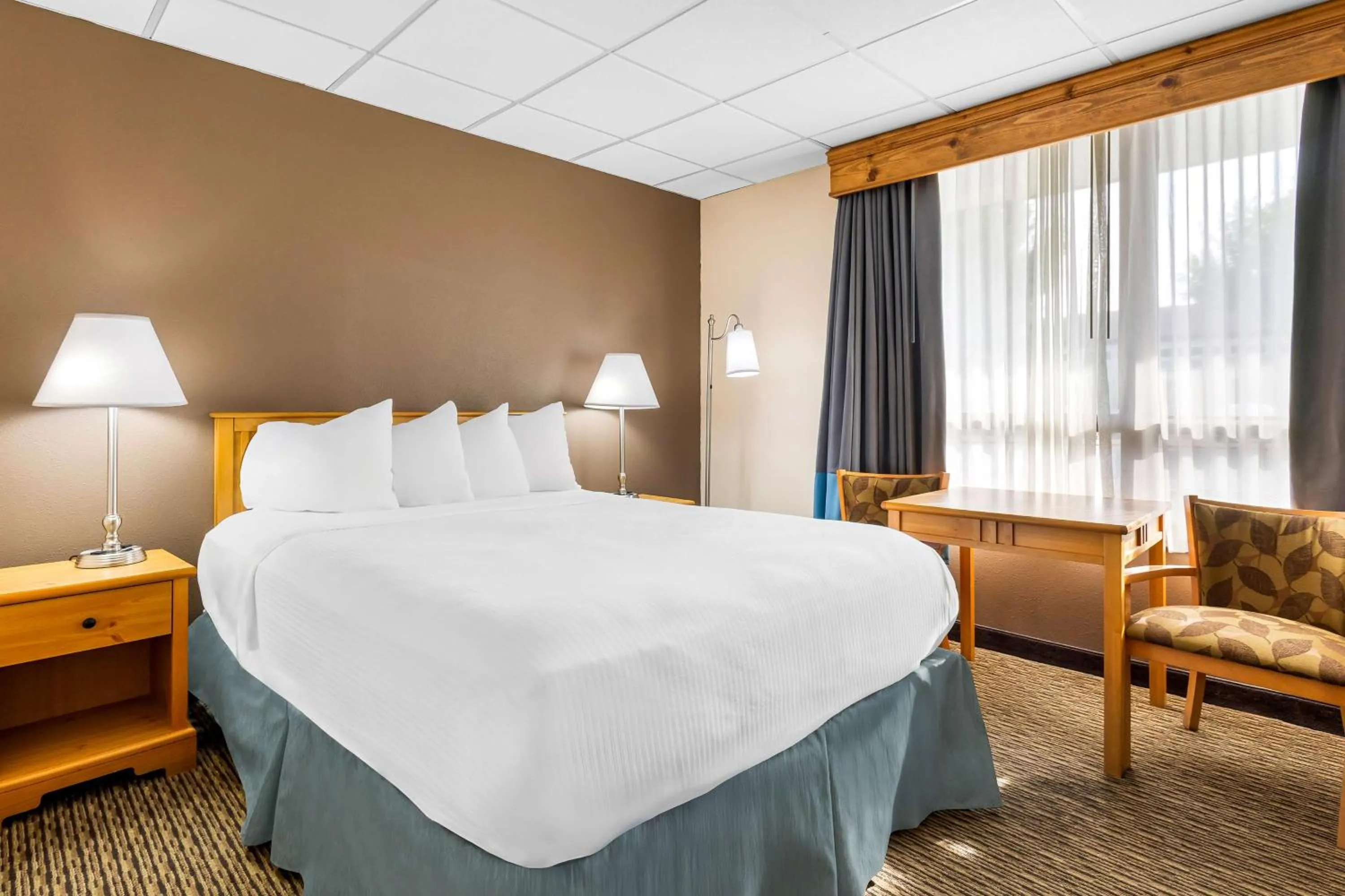 Photo of the whole room, Bed in Best Western Lee's Motor Inn