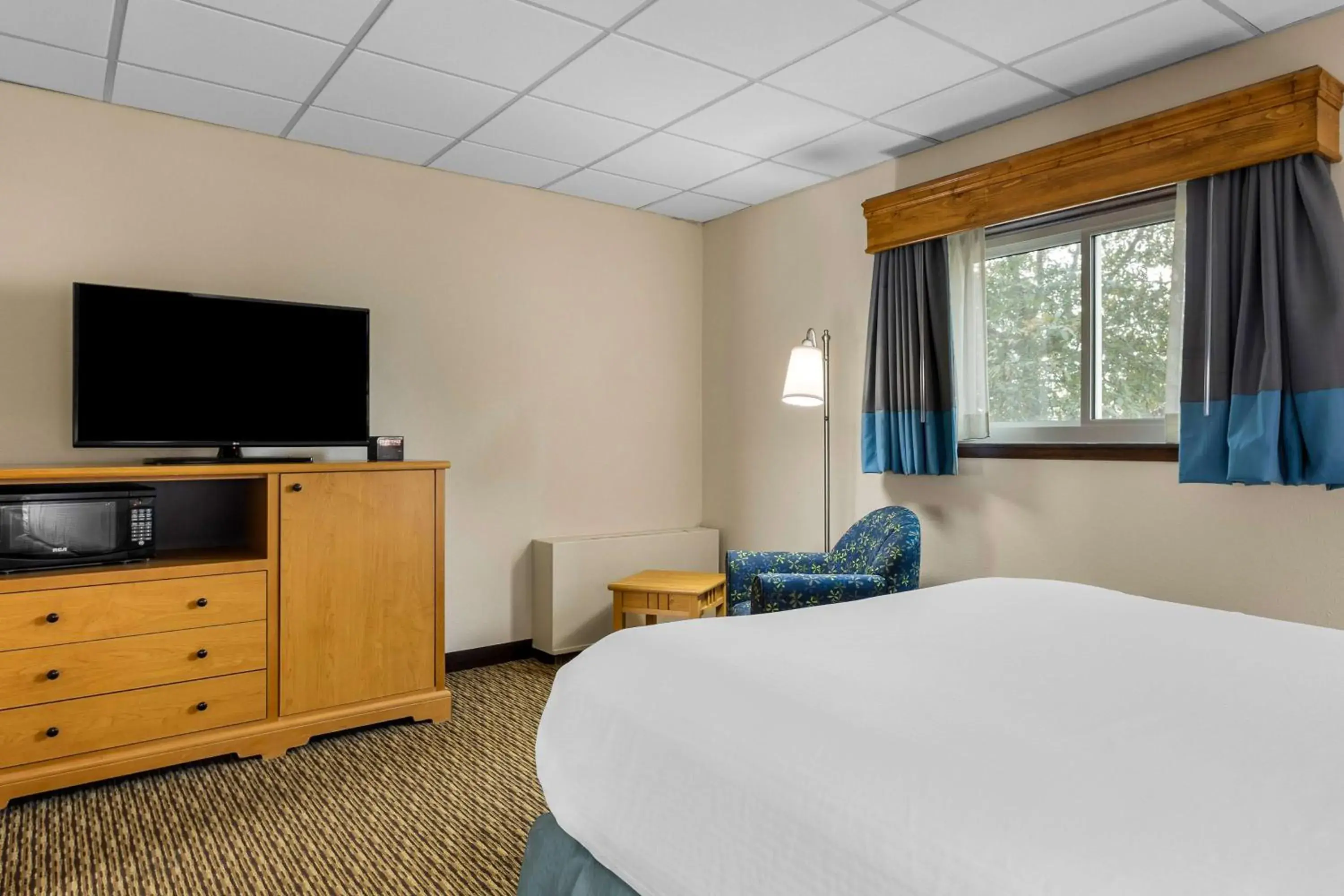 Photo of the whole room, Bed in Best Western Lee's Motor Inn Photo of the whole room, Bed in Best Western Lee's Motor Inn