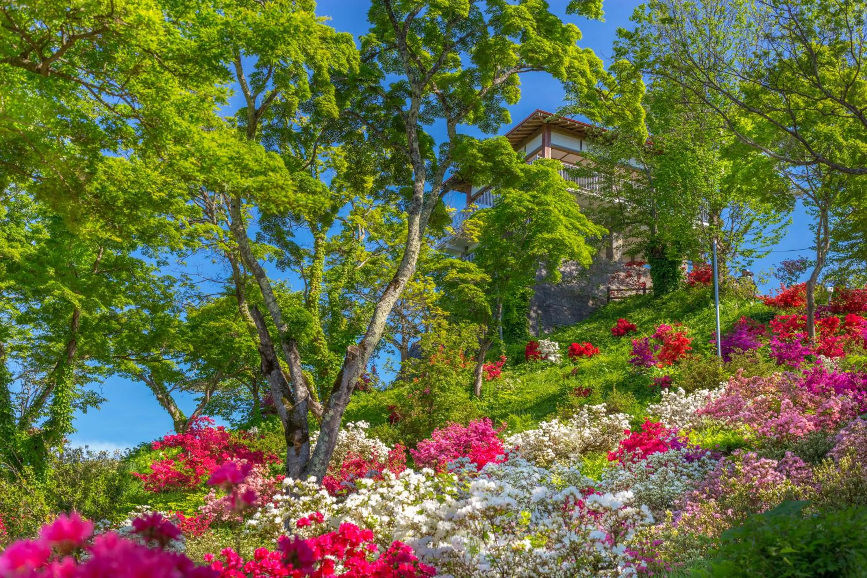 Historical Ryokan SENYUKAN