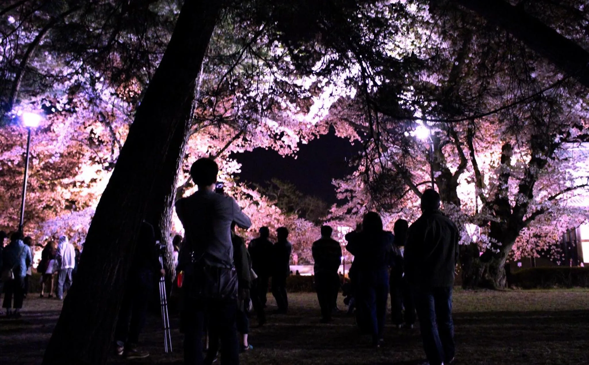 Historical Ryokan SENYUKAN