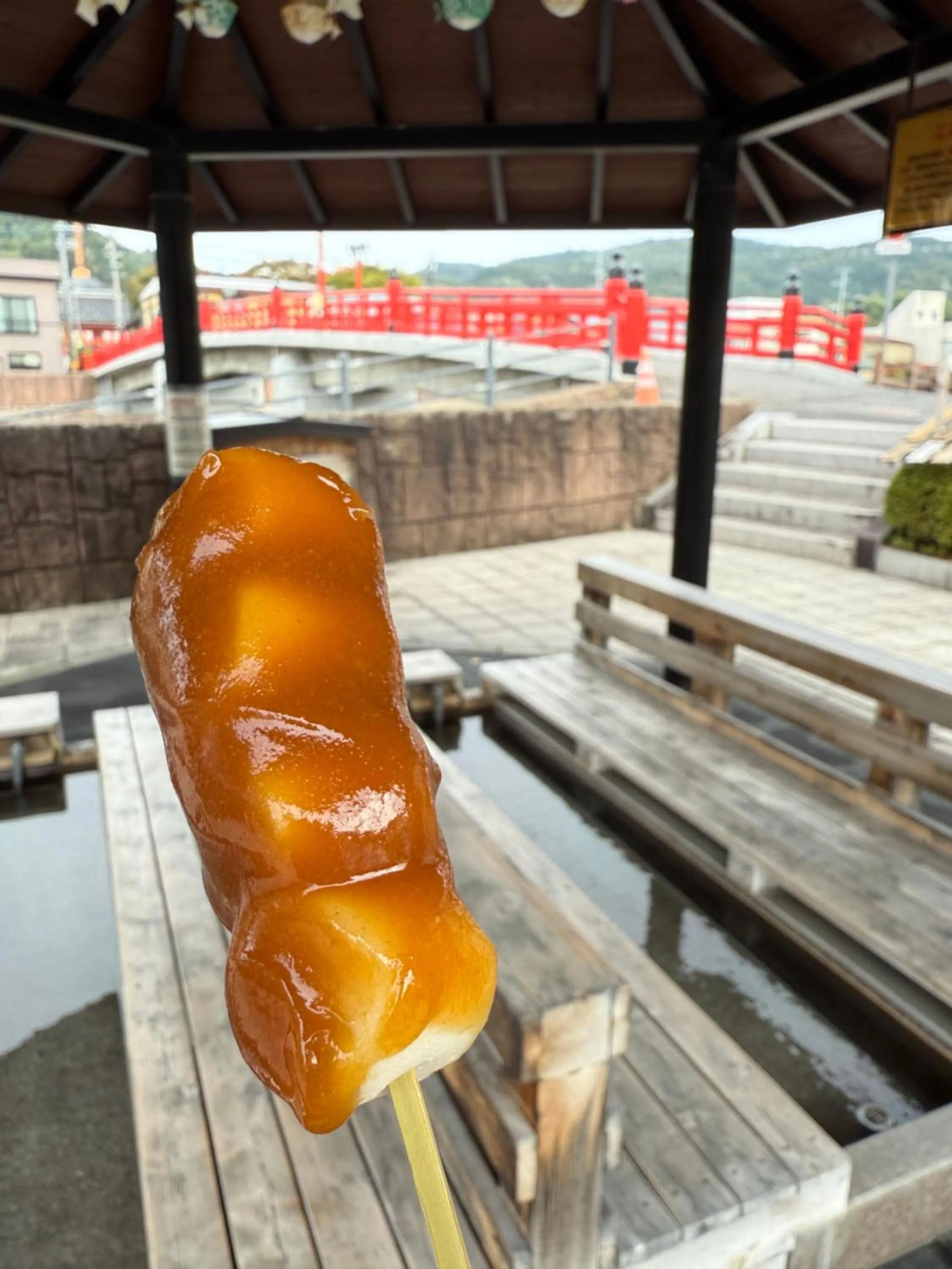 Historical Ryokan SENYUKAN